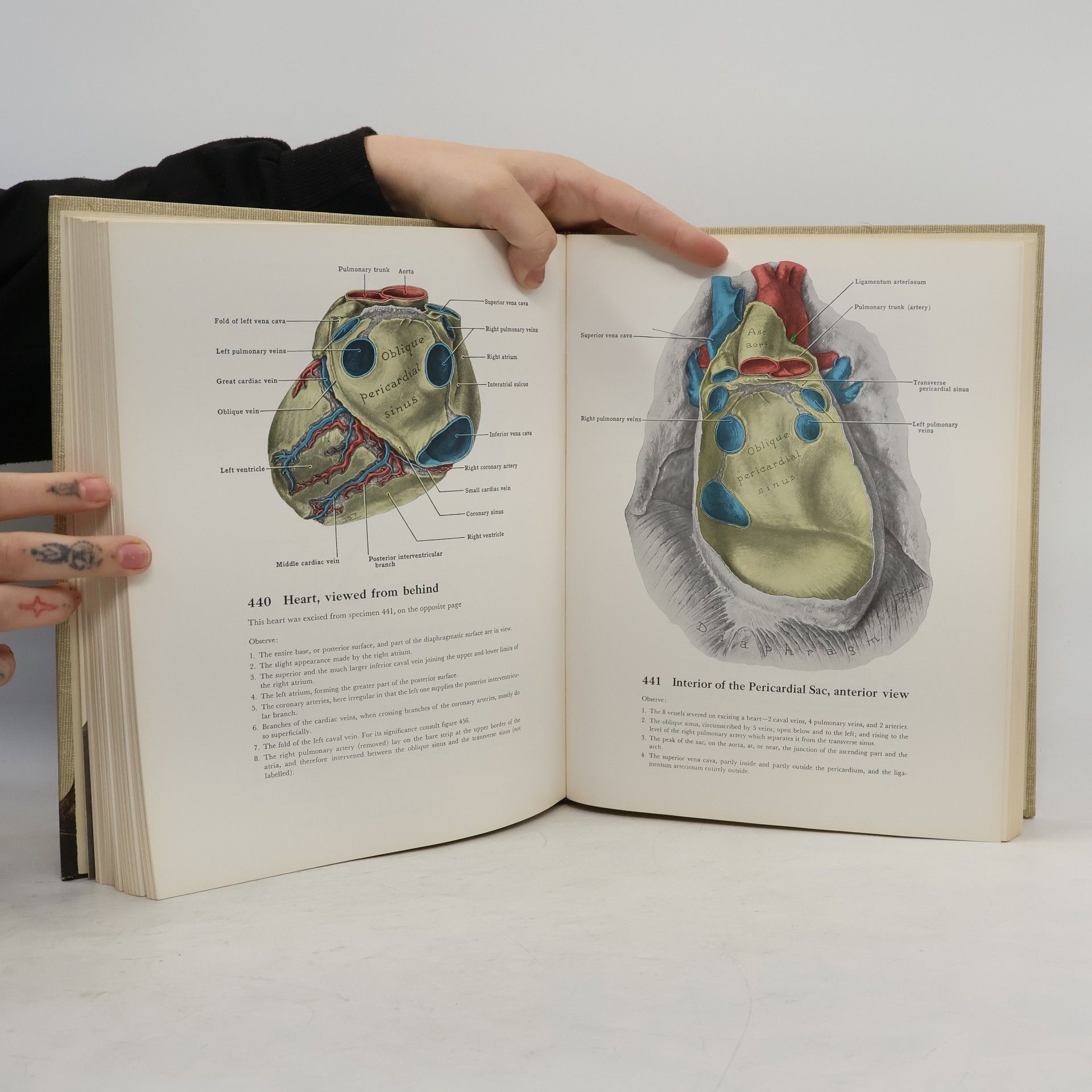 J.C. Boileau Grant Grant's Atlas of Anatomy