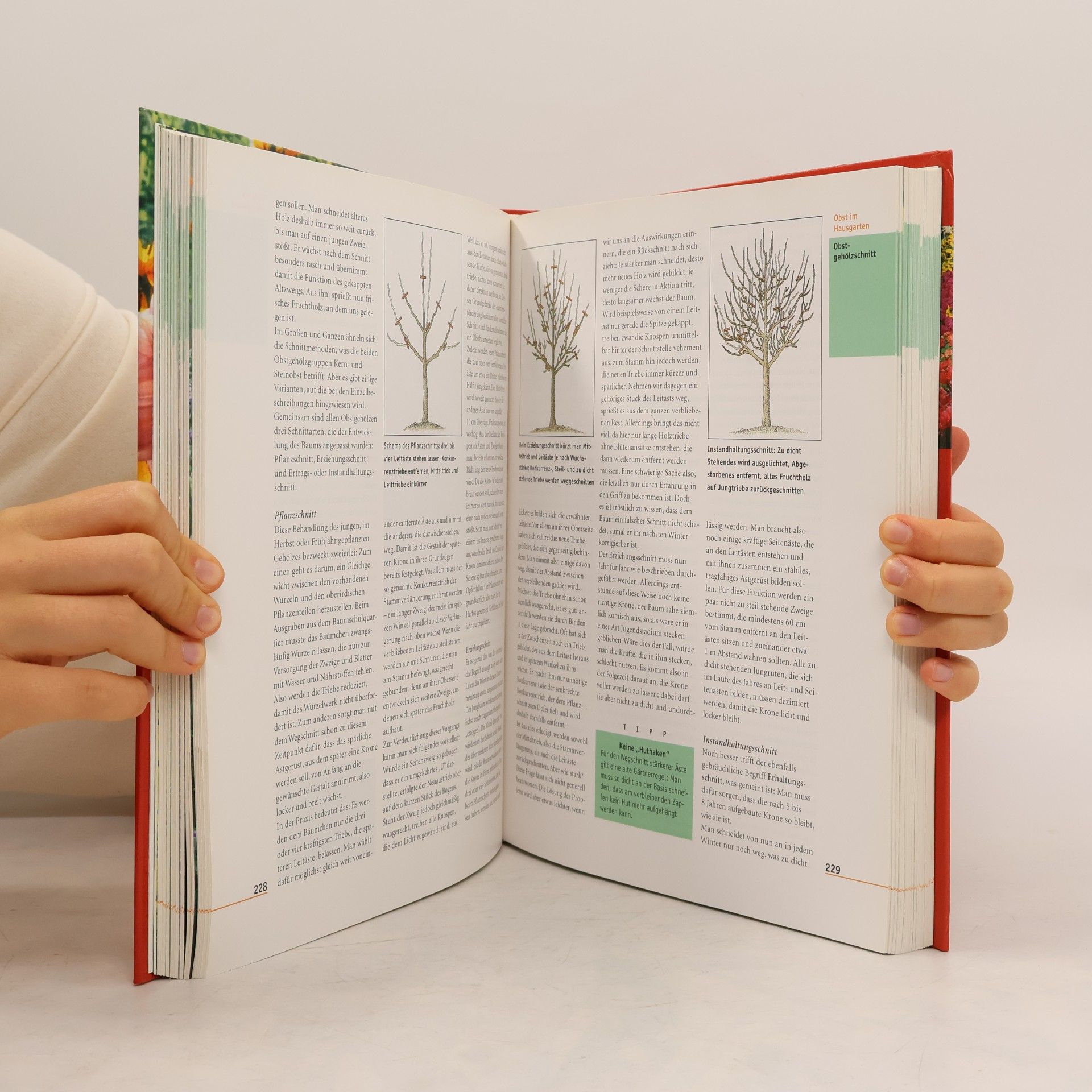 Autorenkollektiv Die grosse Gartenschule