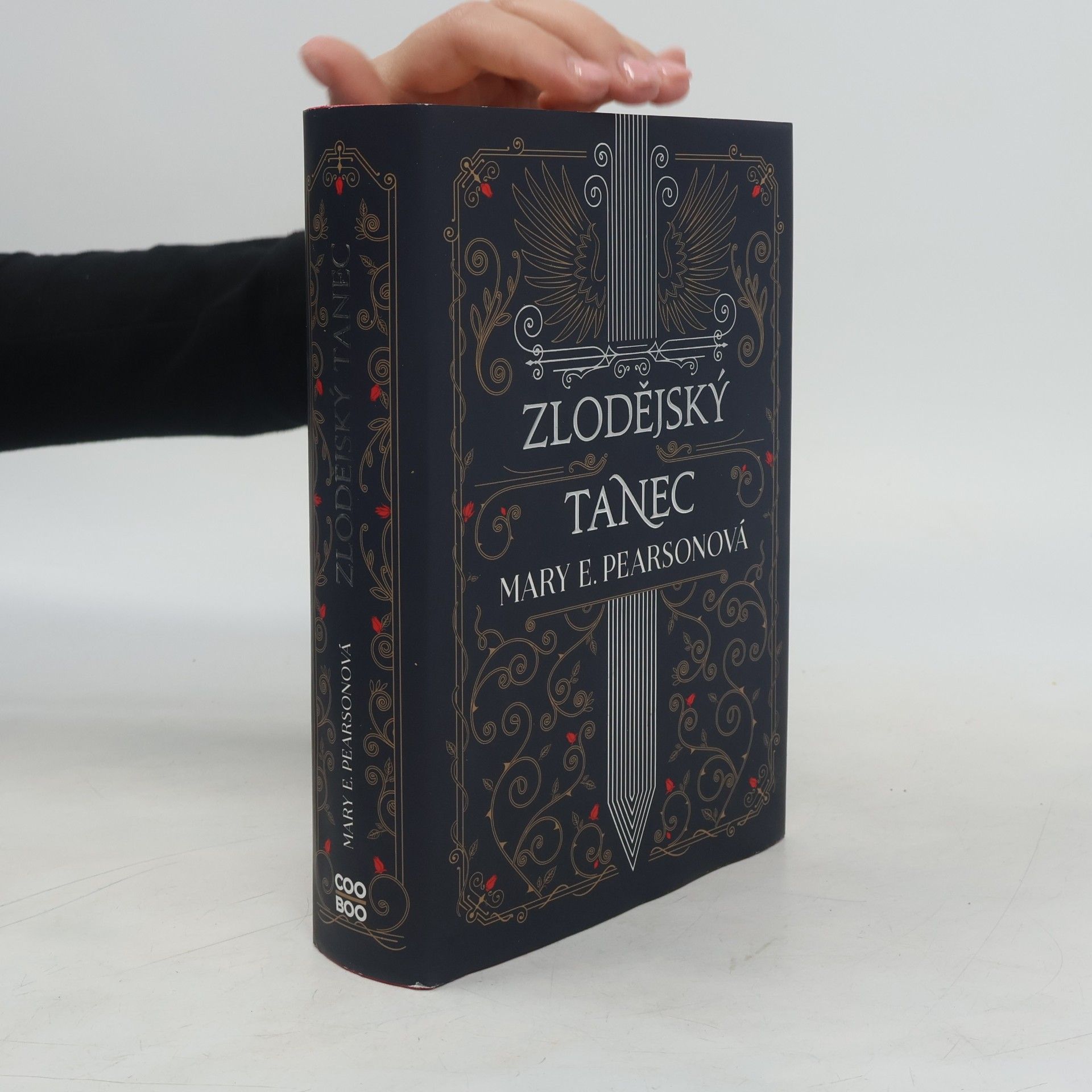 Mary E. Pearson Zlodějský tanec
