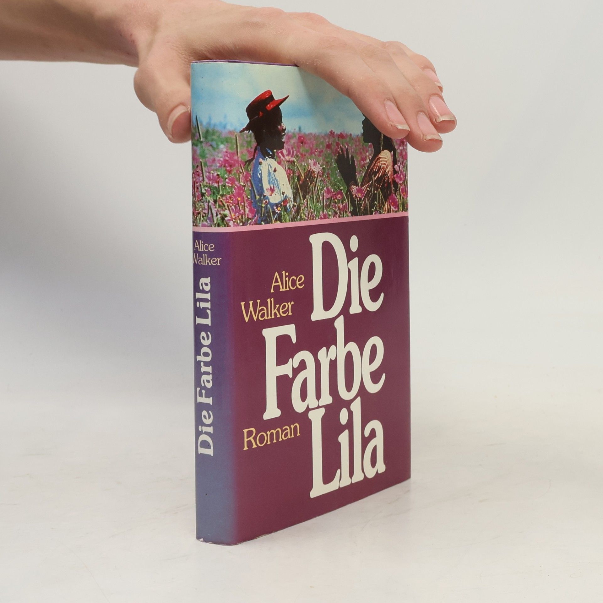 Alice Walker Die Farbe Lila