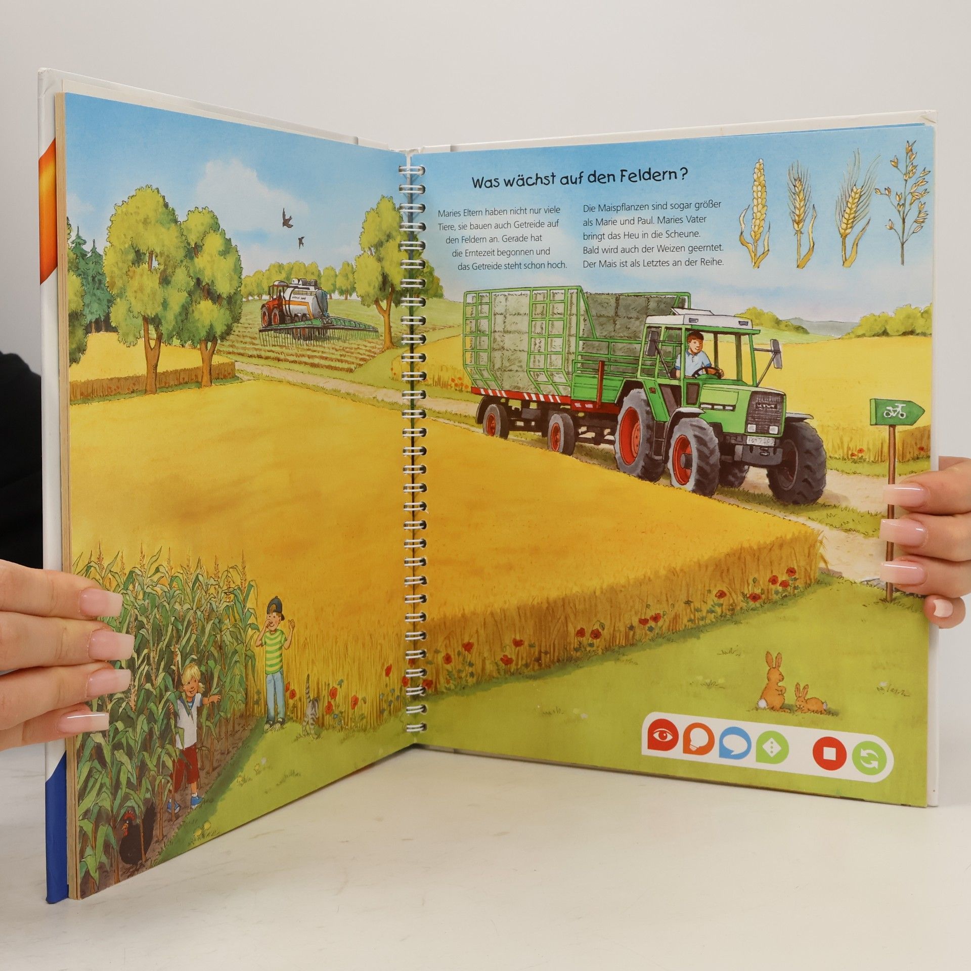 Inka Friese Entdecke den Bauernhof