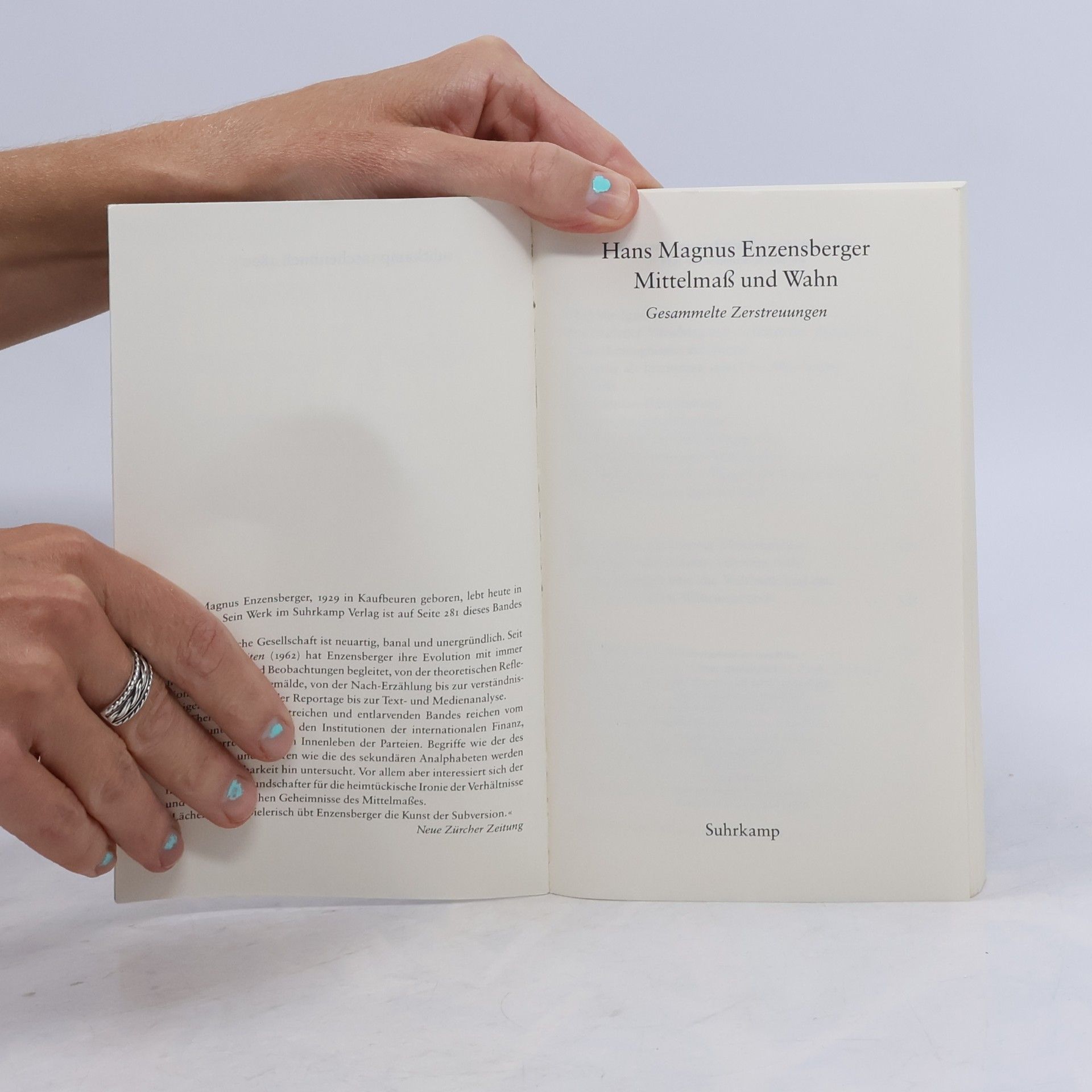 Hans Magnus Enzensberger Mittelmass und Wahn