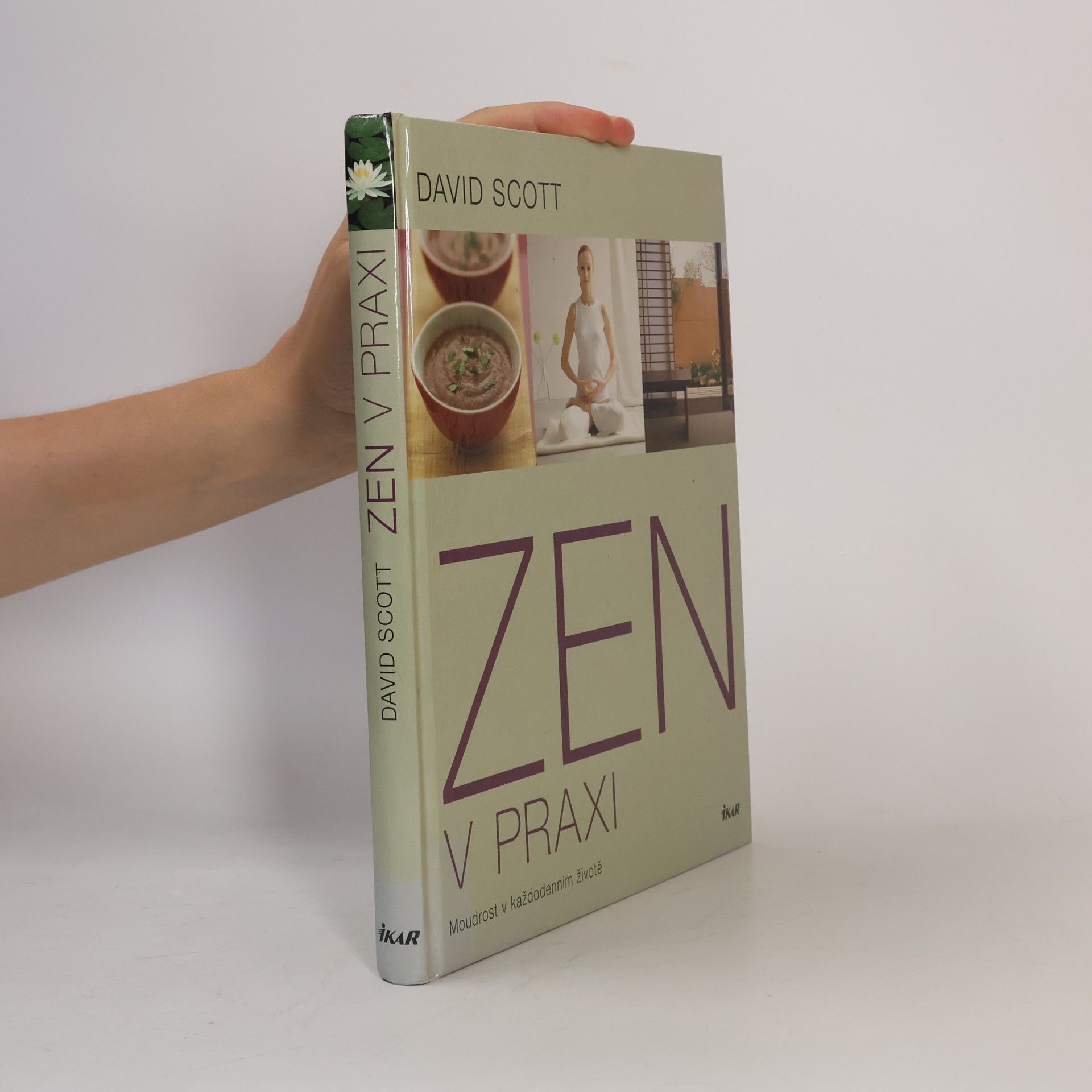 Wolfgang Bauer Zen v praxi