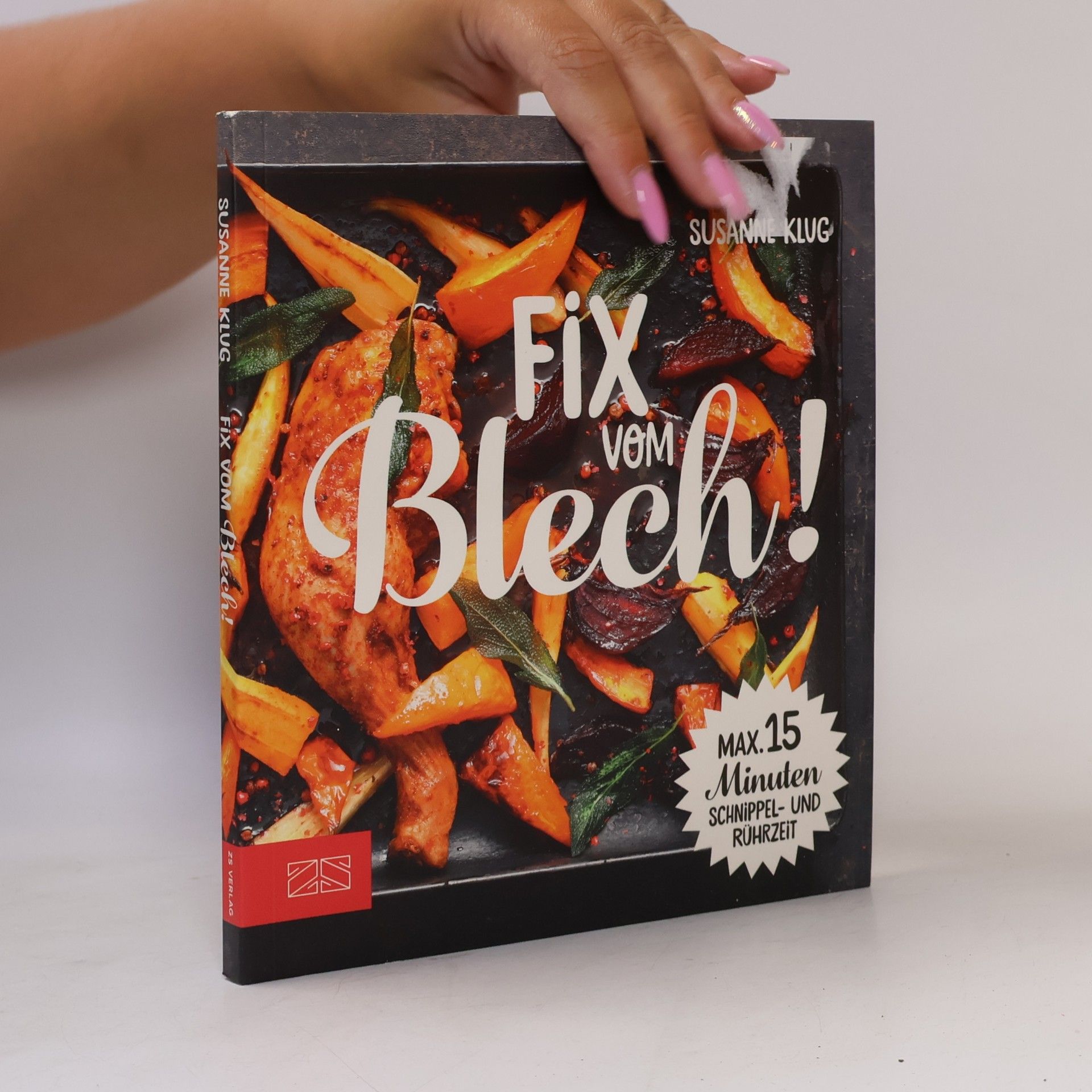 Ssanne Klug Fix vom Blech