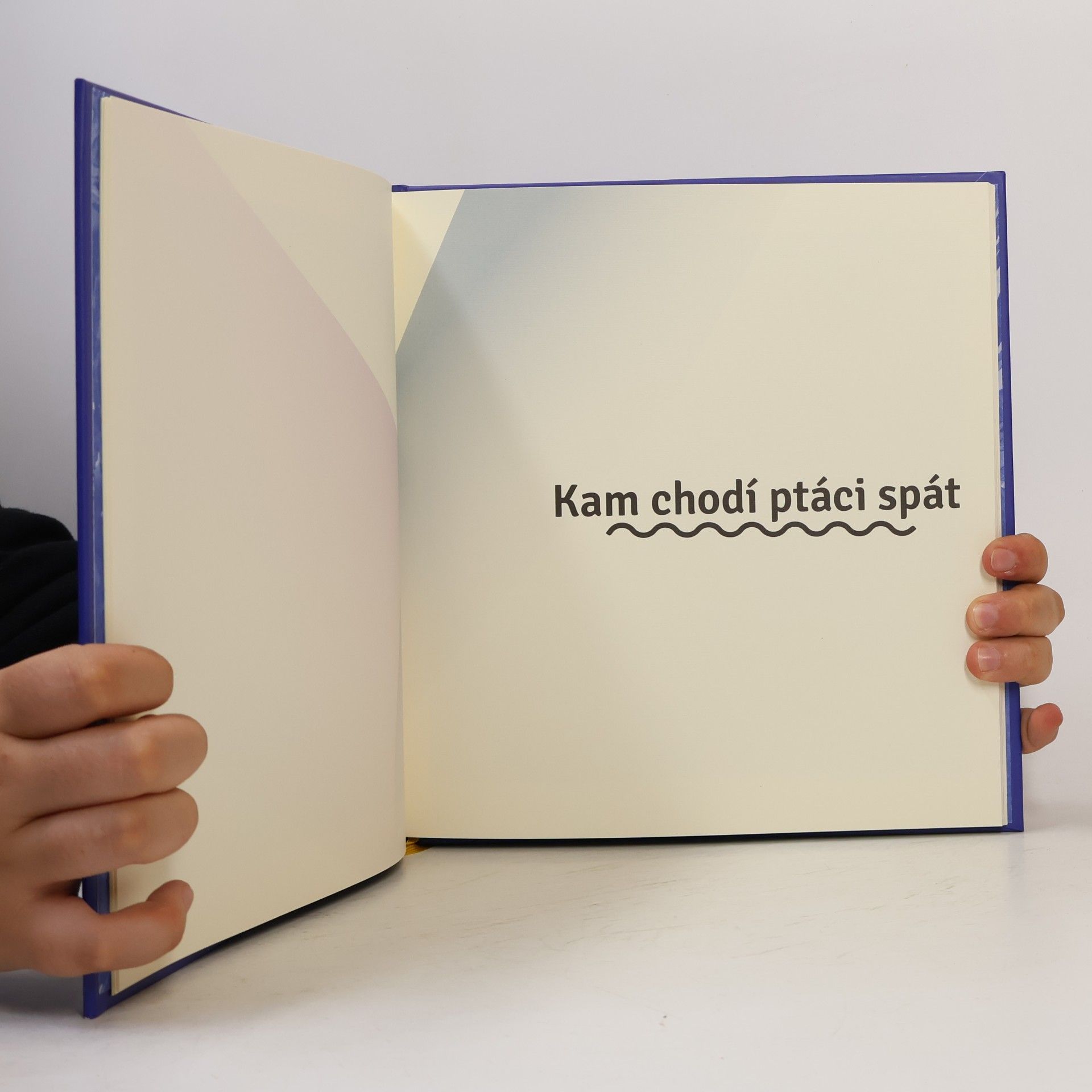 Robin Král Ukolébavky