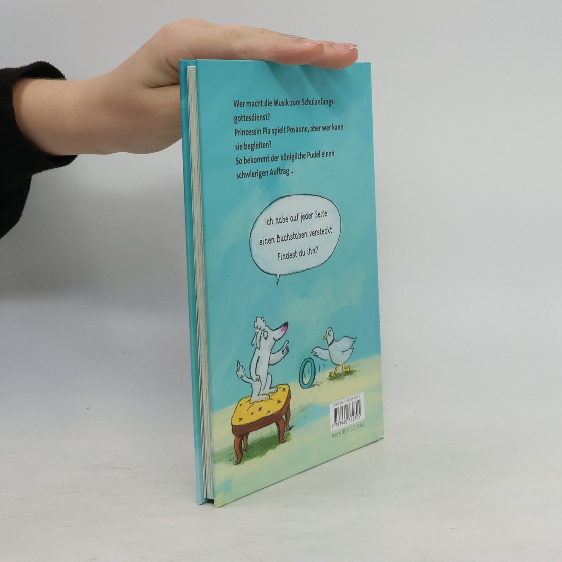 Katja Gehrmann Pudel, Pauken und ein Plan
