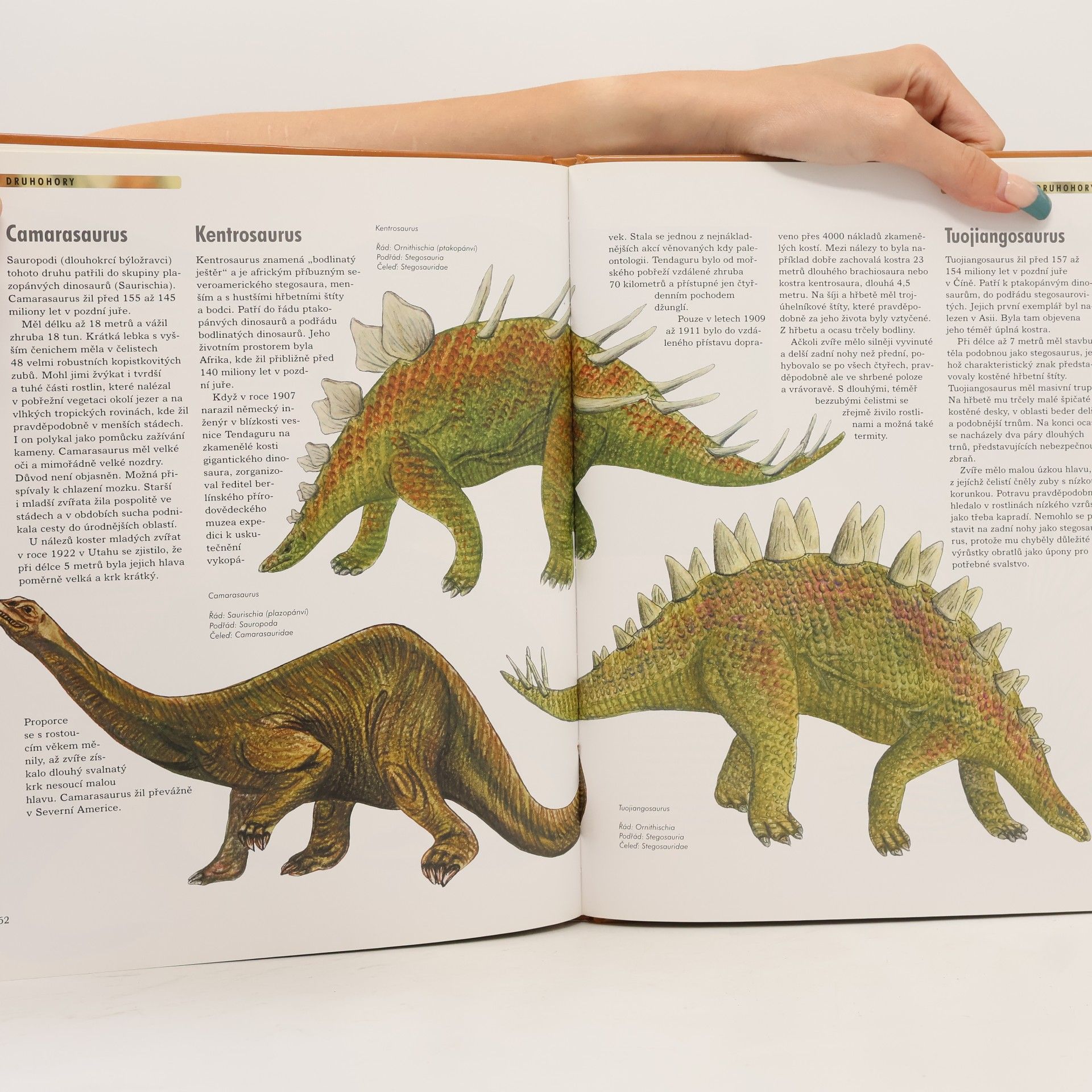 Collectif d'auteurs Dinosauři