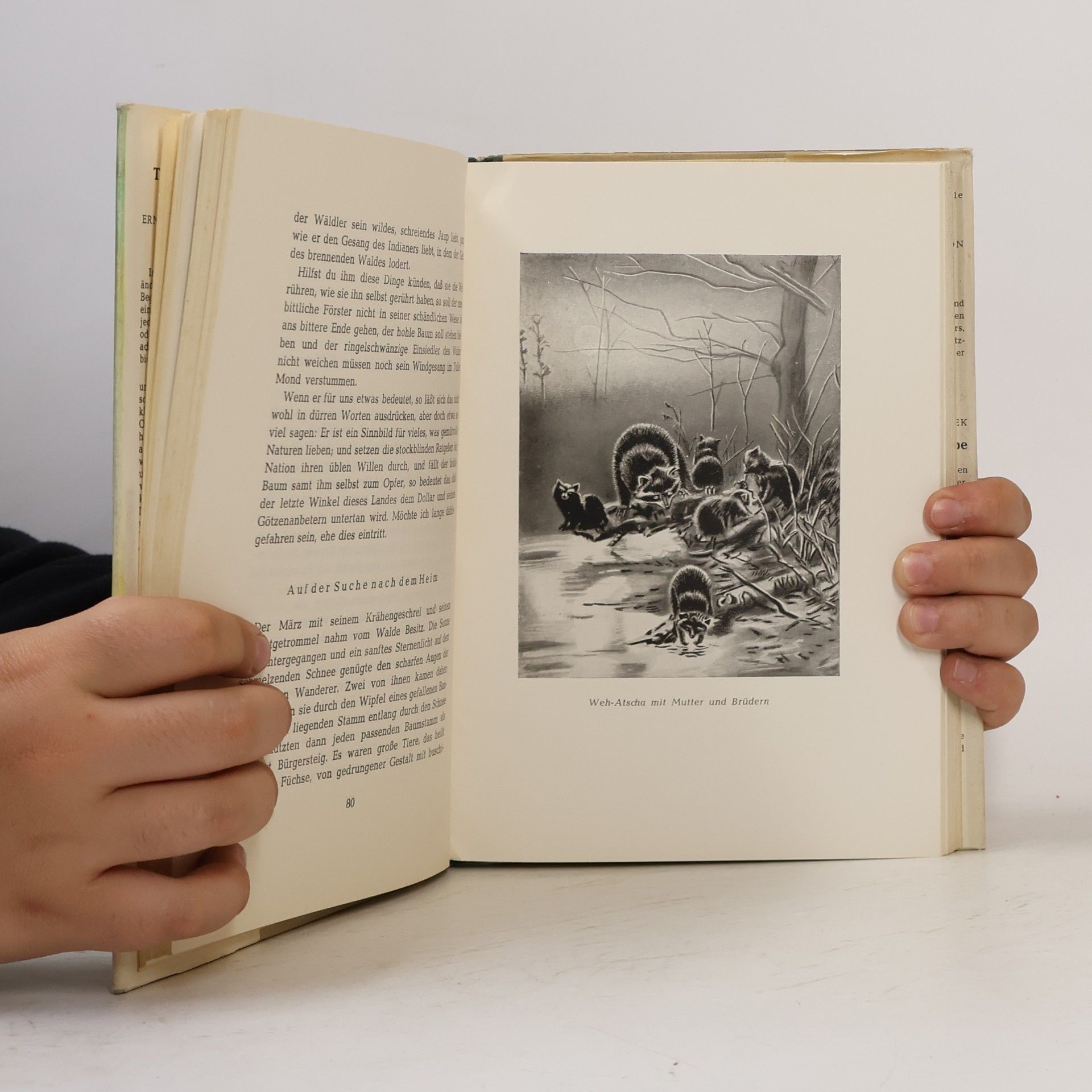 Ernest Thompson Seton Tiere der Wildnis