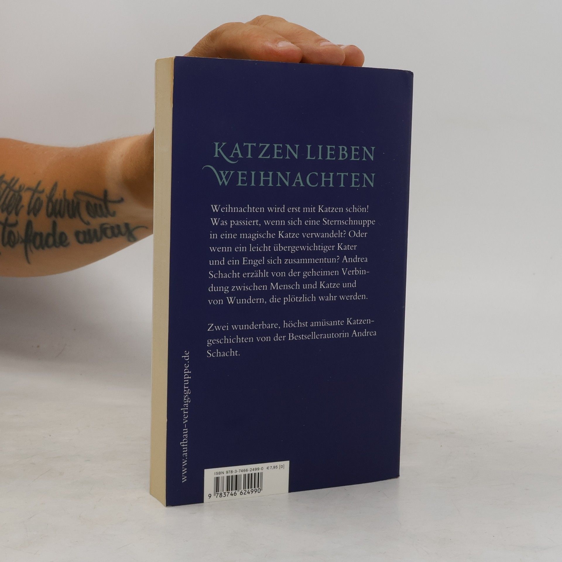 Andrea Schacht Katzenweihnacht