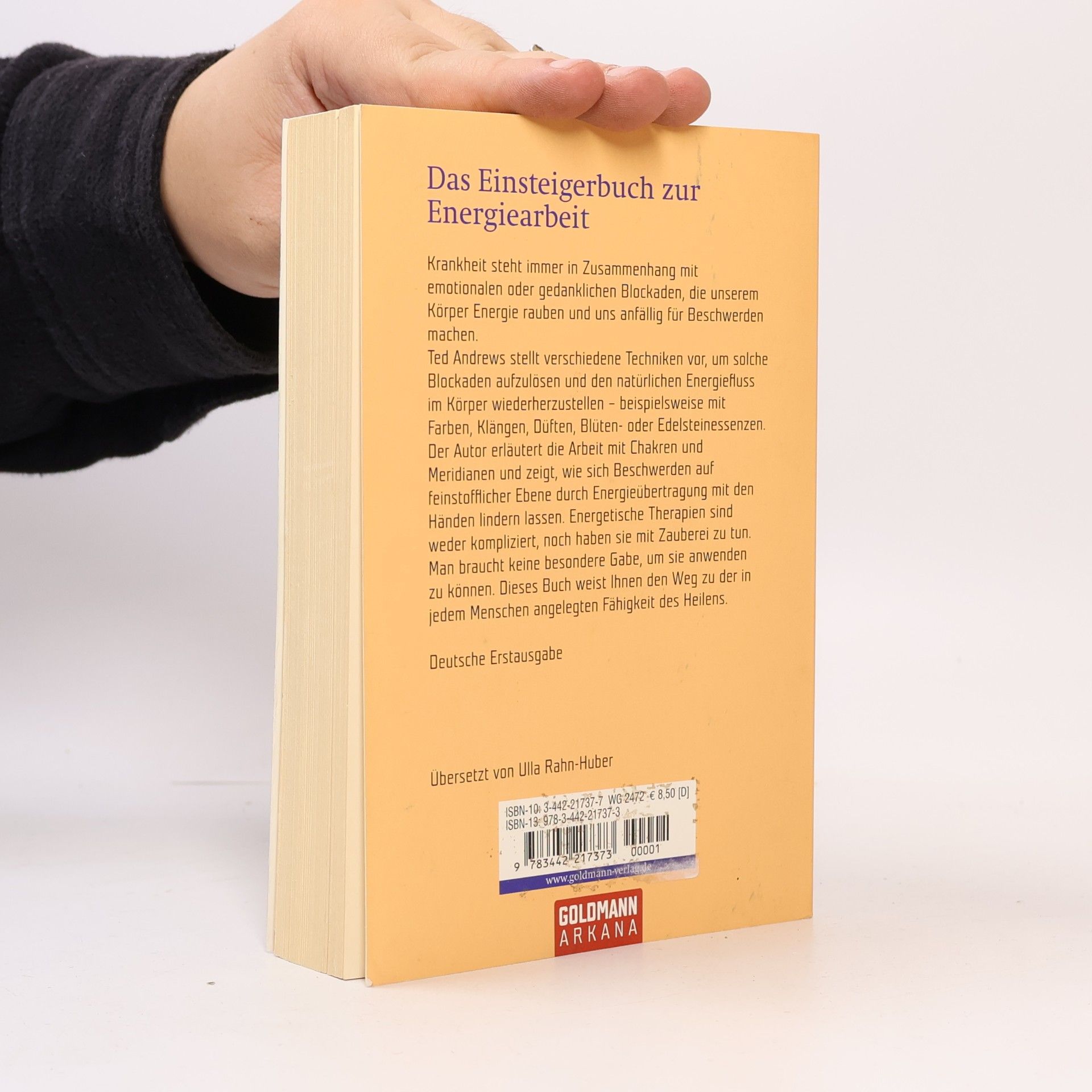Ted Andrews Kleines Lehrbuch für Heiler