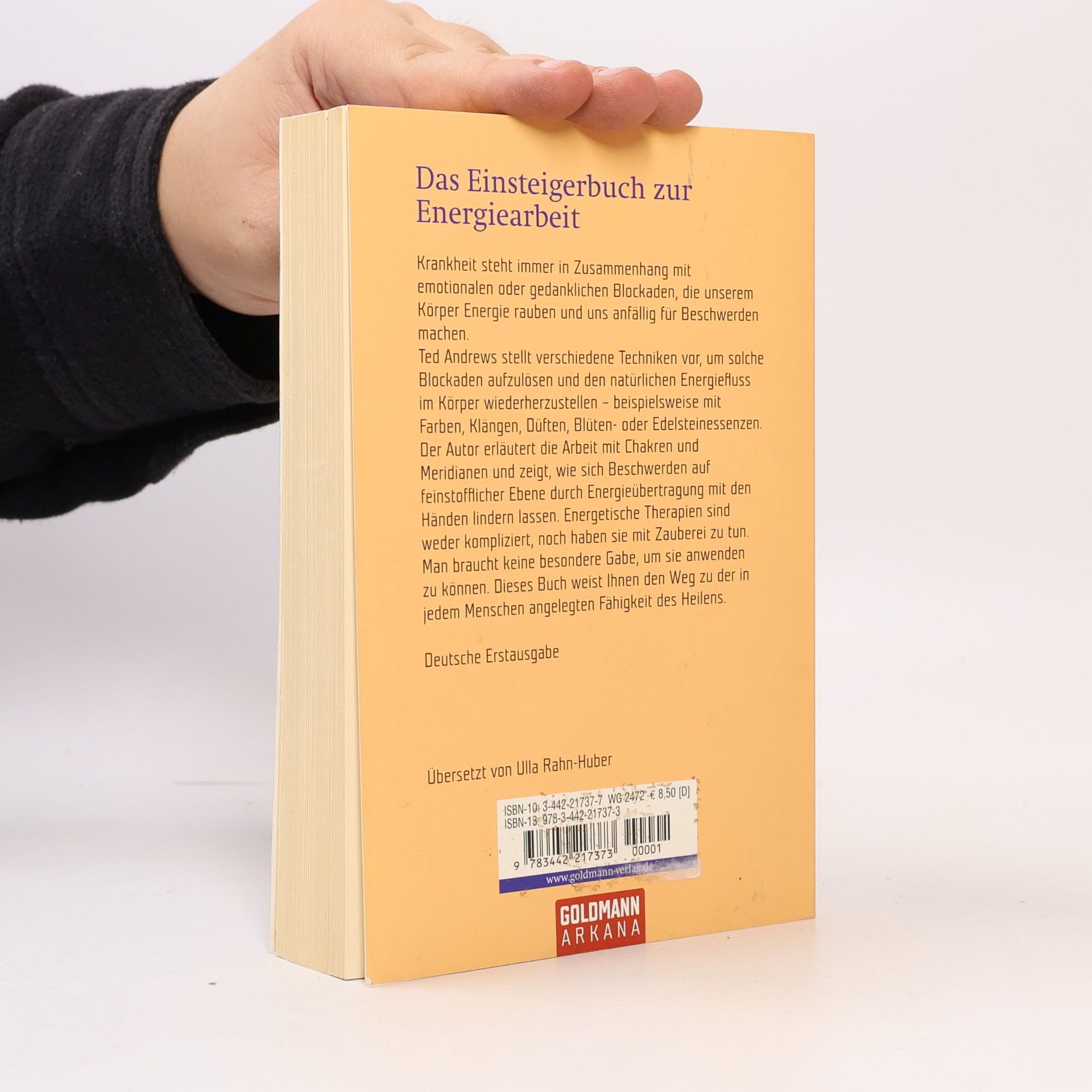 Ted Andrews Kleines Lehrbuch für Heiler