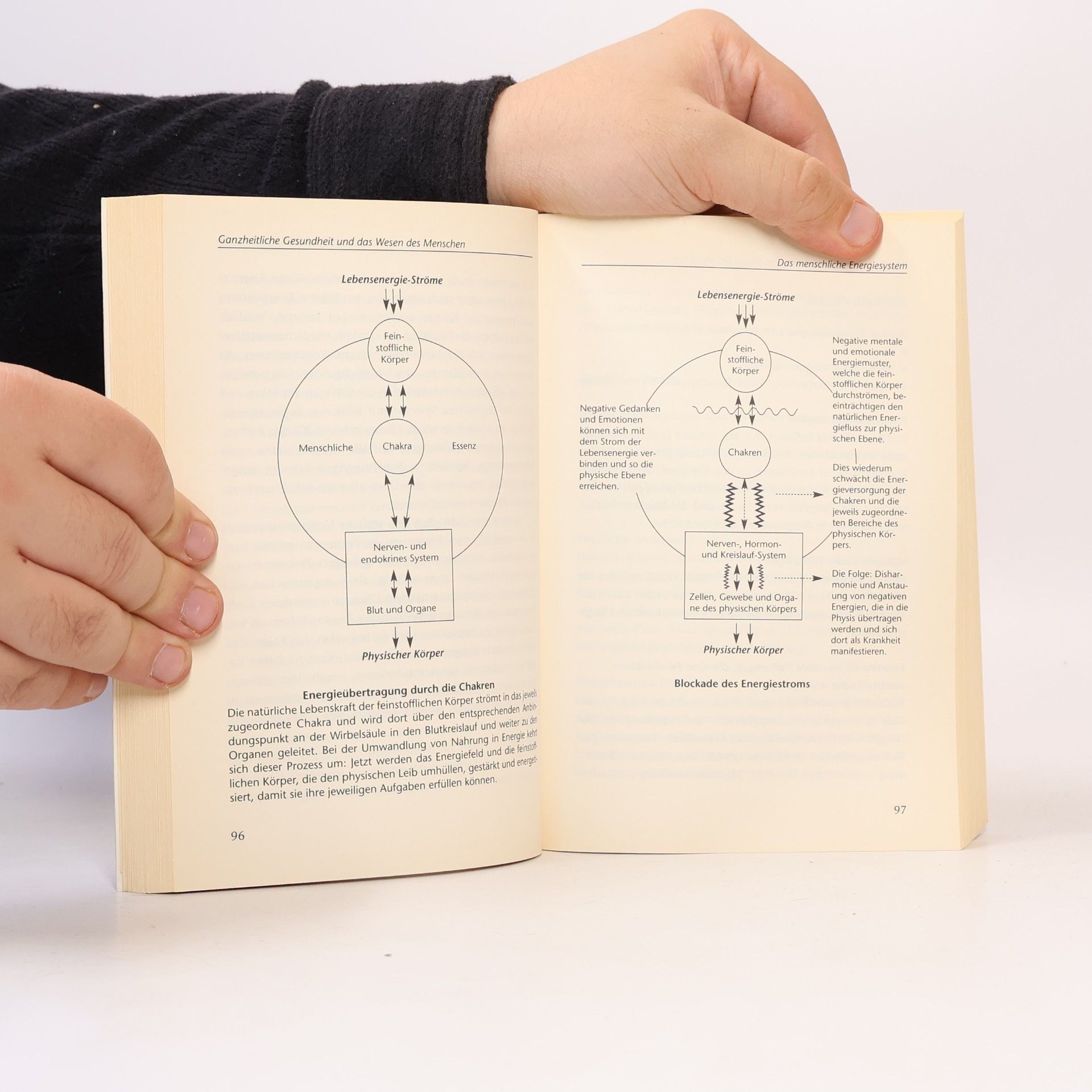 Ted Andrews Kleines Lehrbuch für Heiler