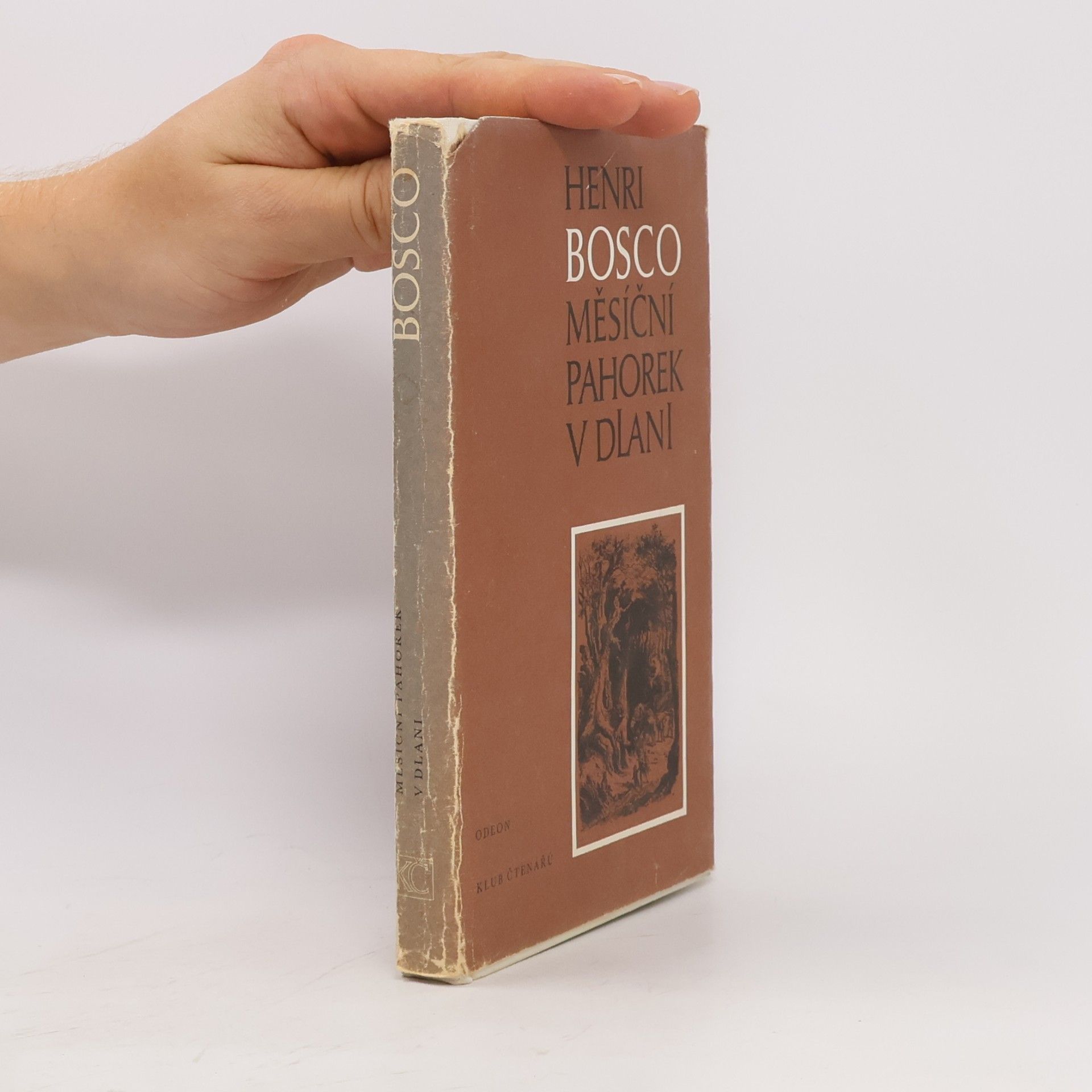 Henri Bosco Měsíční pahorek v dlani