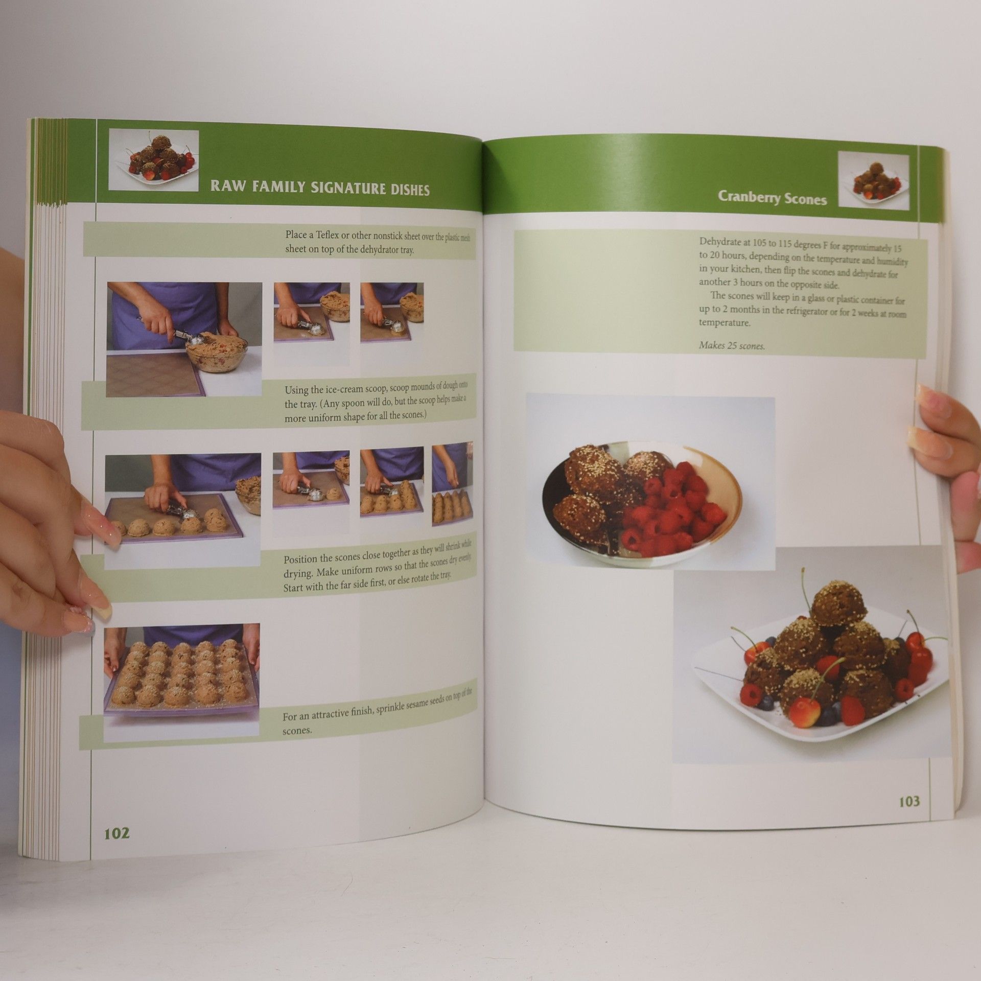 Victoria Boutenko Raw Family Signature Dishes: A Step-by-Step Guide to Essential Live-Food Recipes