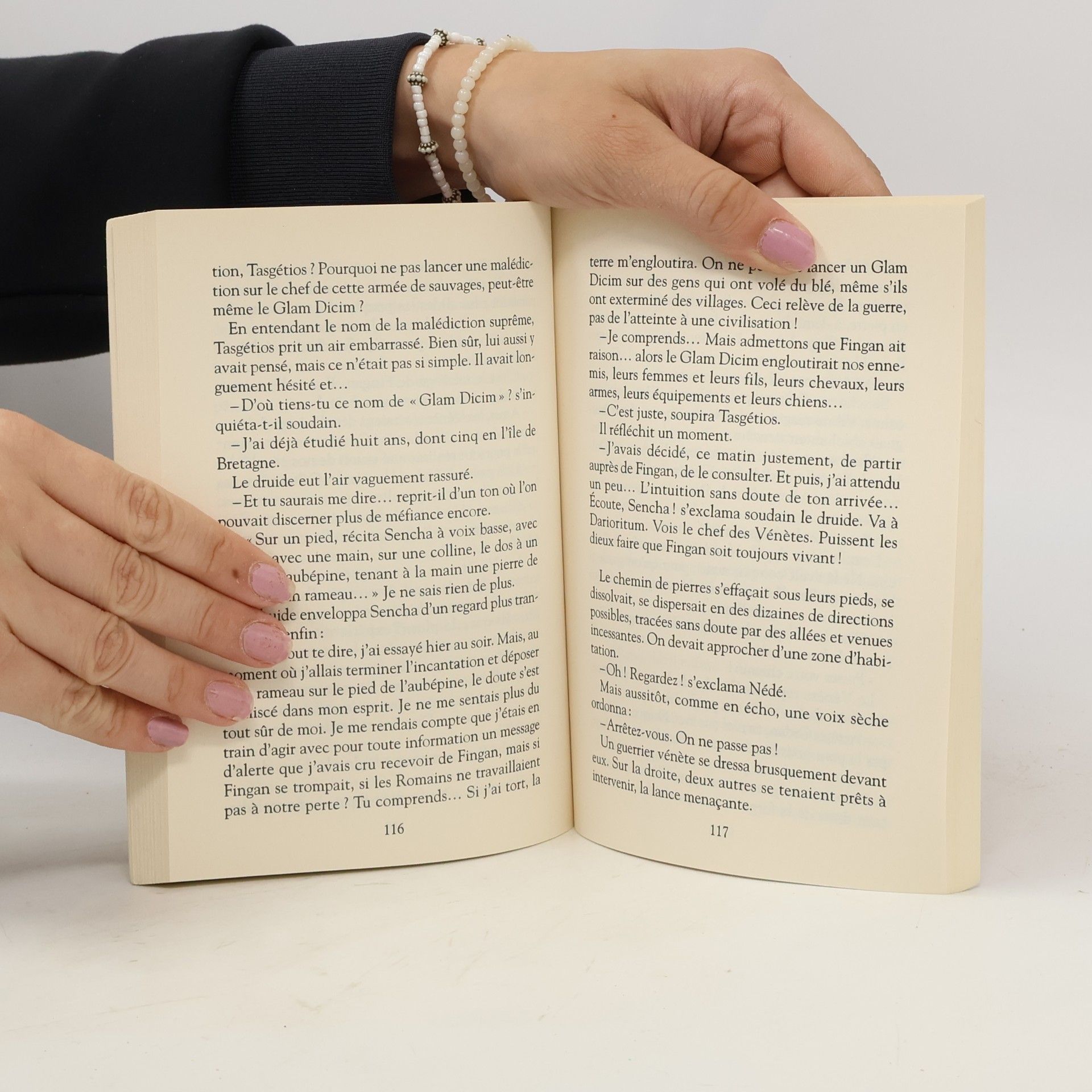 E. Brisou-Pellen Folio junior: Le Défi des Druides