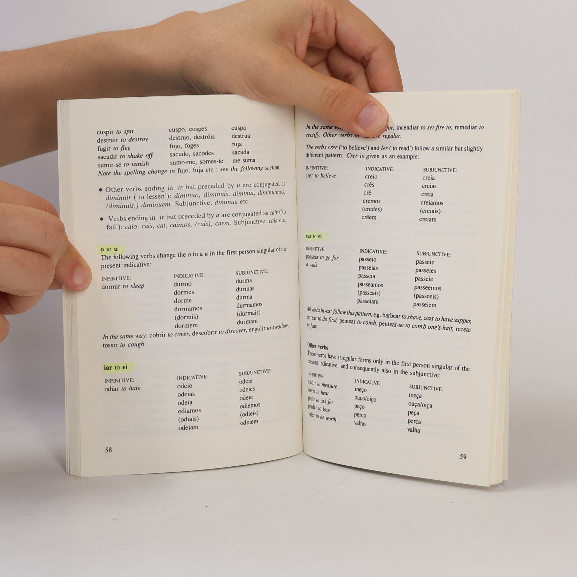 Maria Fernanda Allen Verbs Simplified Series: Portuguese Verbs Simplified