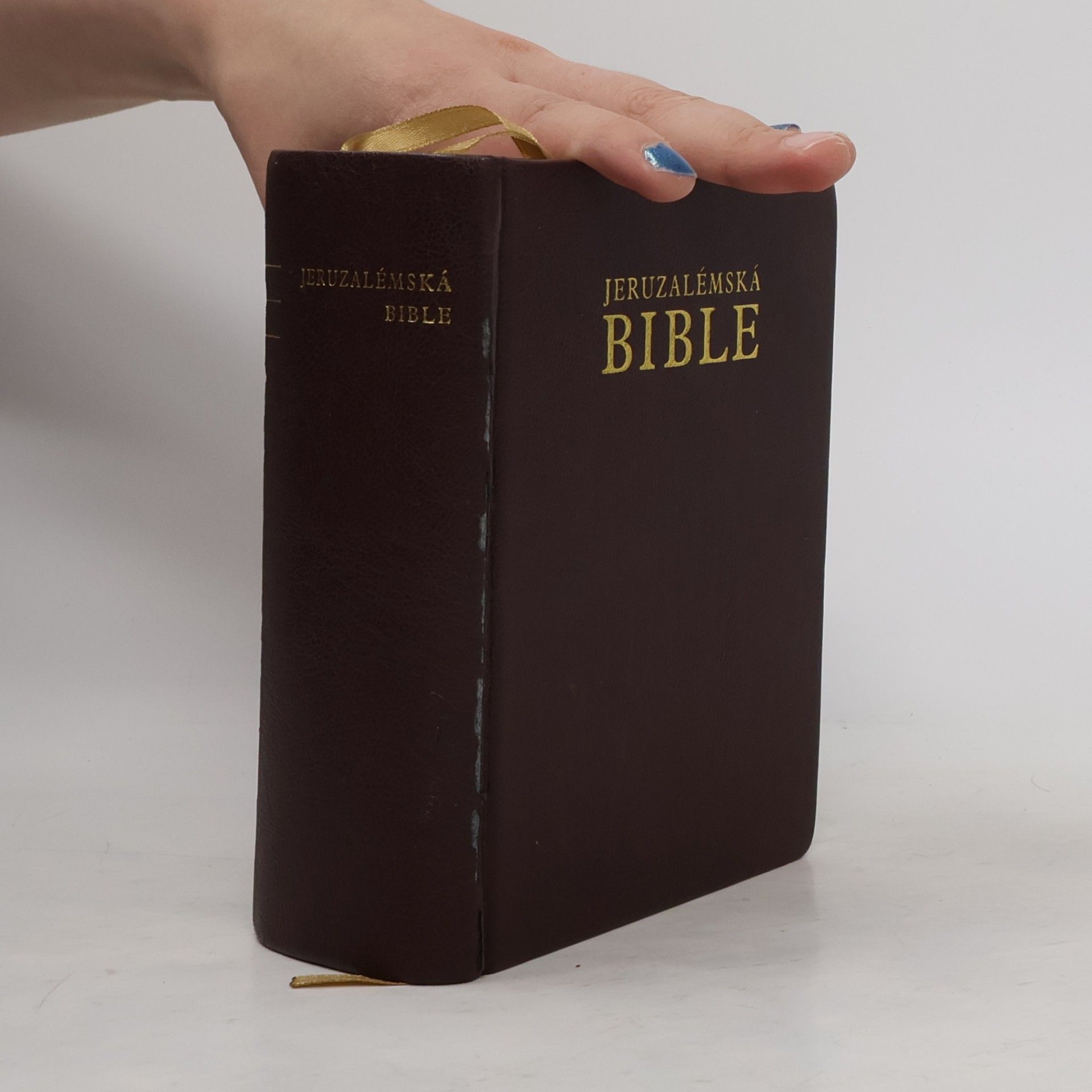 Dagmar Halasová Jeruzalémská Bible