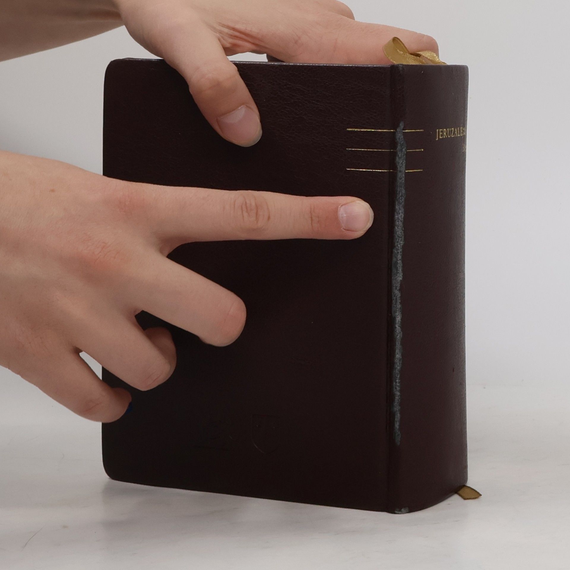 Dagmar Halasová Jeruzalémská Bible