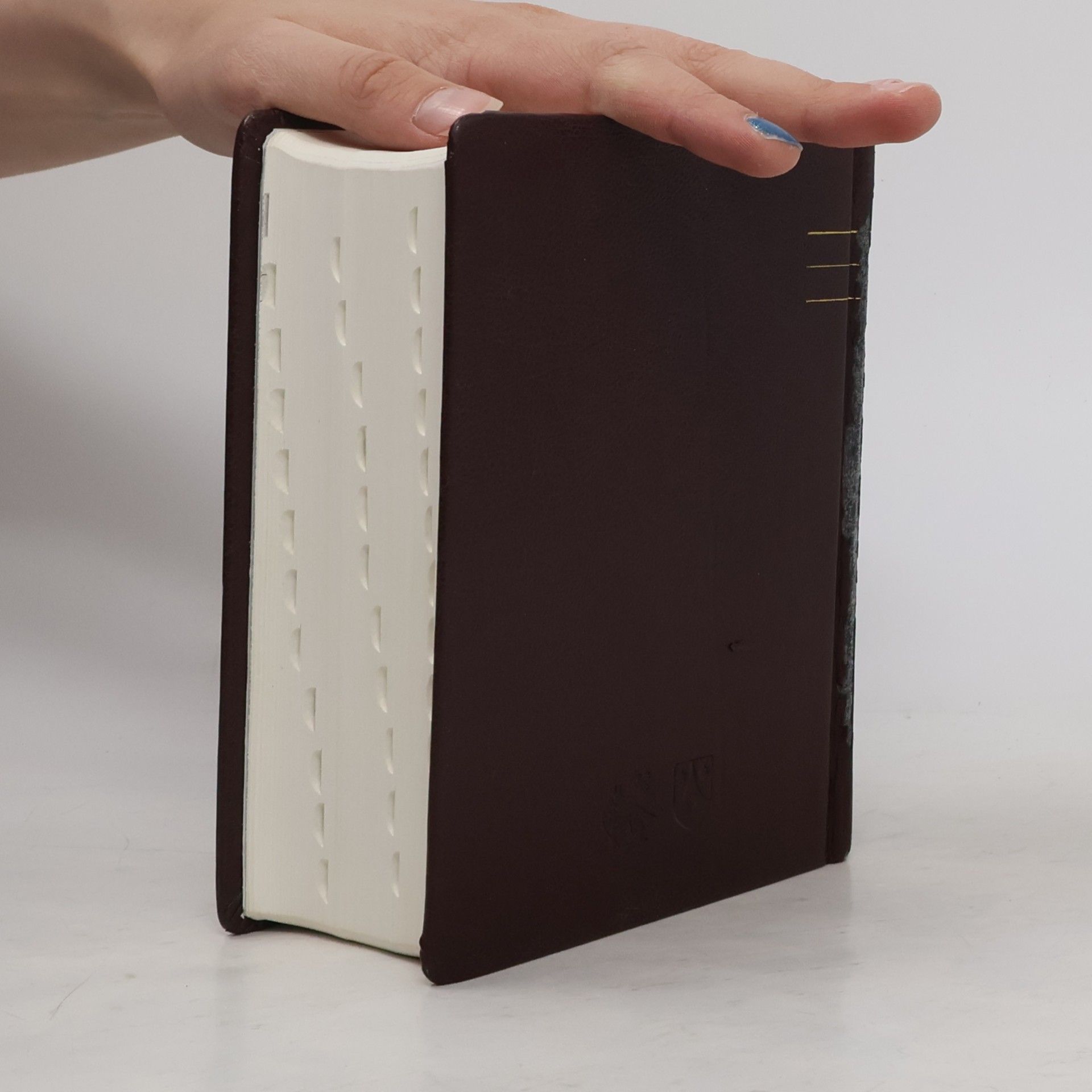 Dagmar Halasová Jeruzalémská Bible
