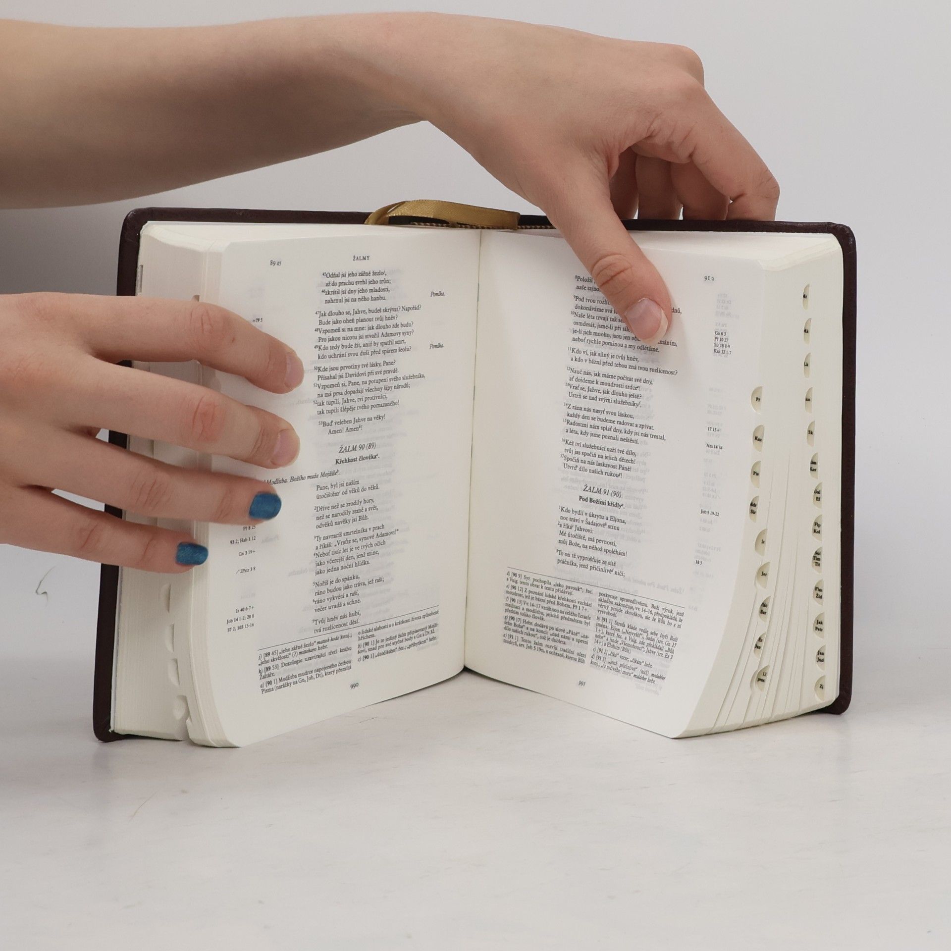 Dagmar Halasová Jeruzalémská Bible
