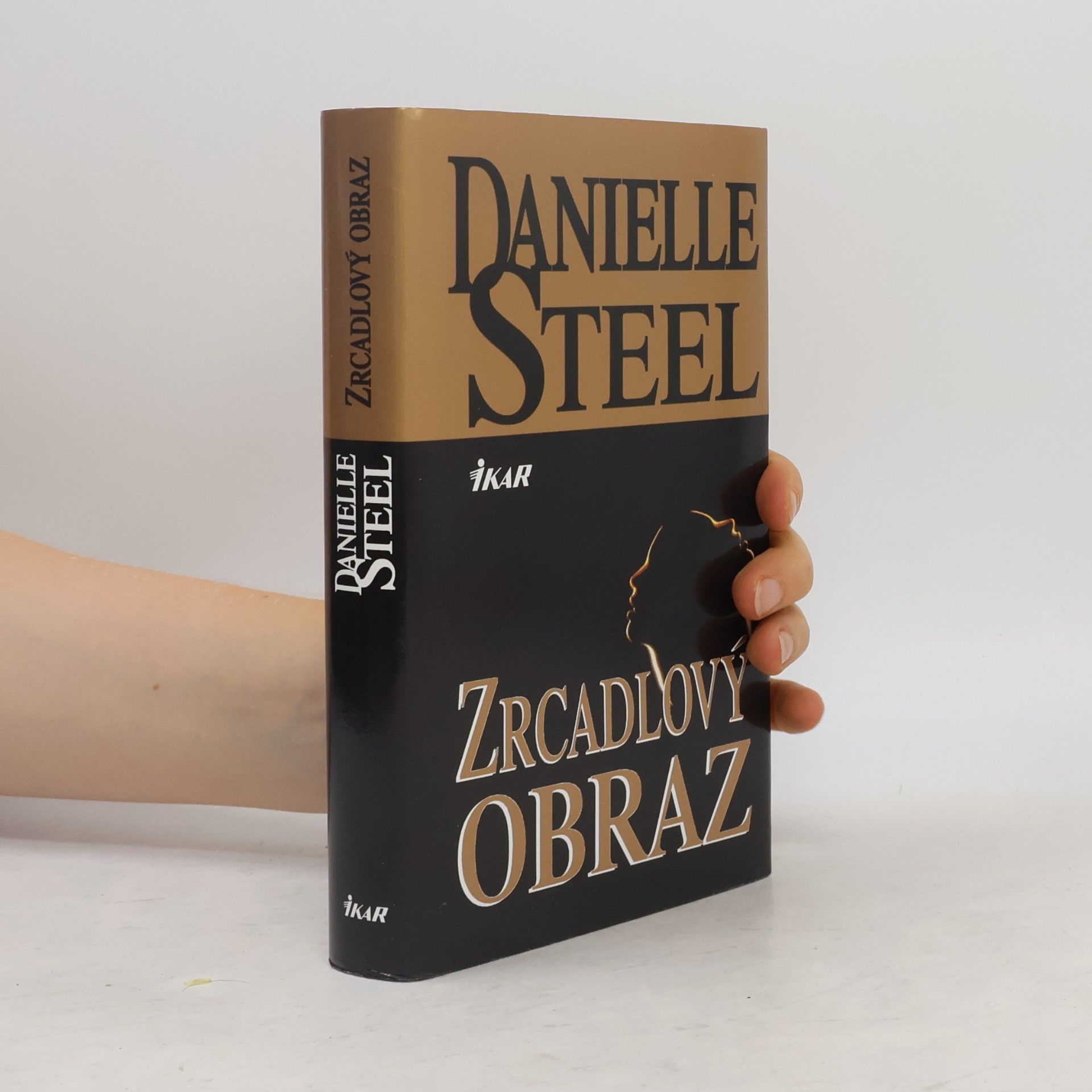 Danielle Steel Zrcadlový obraz