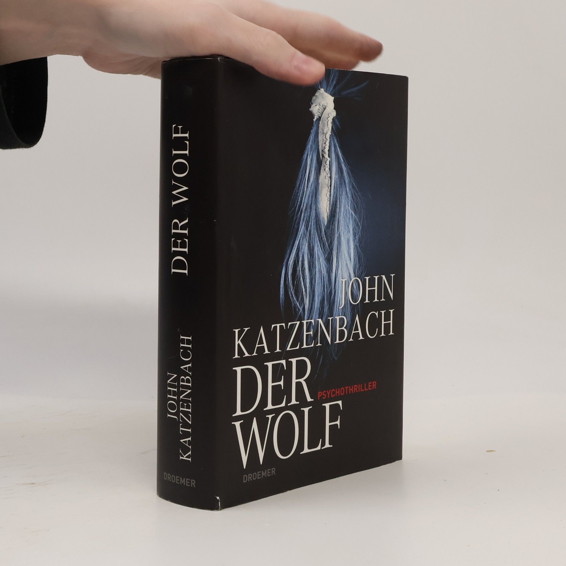 John Katzenbach Der Wolf
