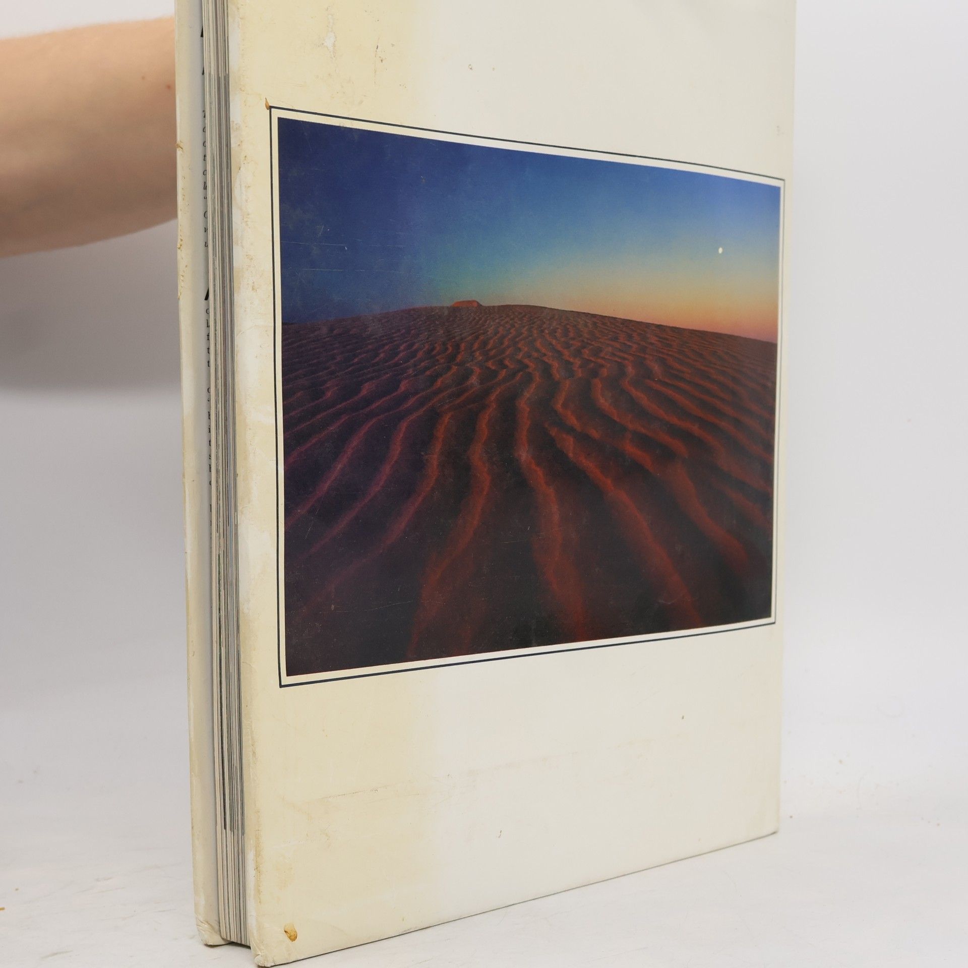 Reg Morrison Australia, a Timeless Grandeur