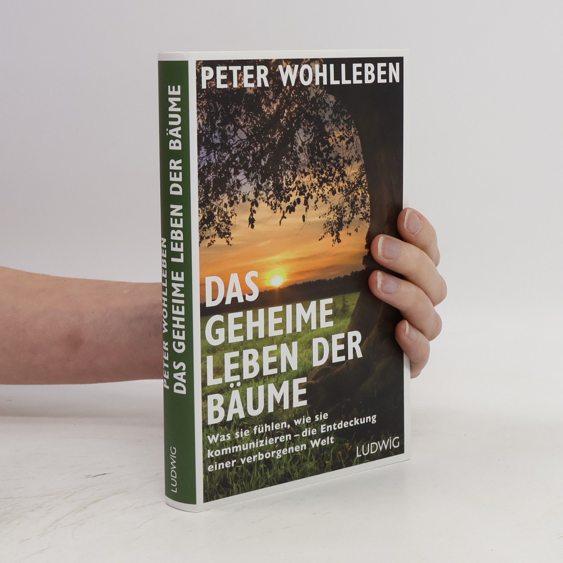 Peter Wohlleben Das geheime Leben der Bäume