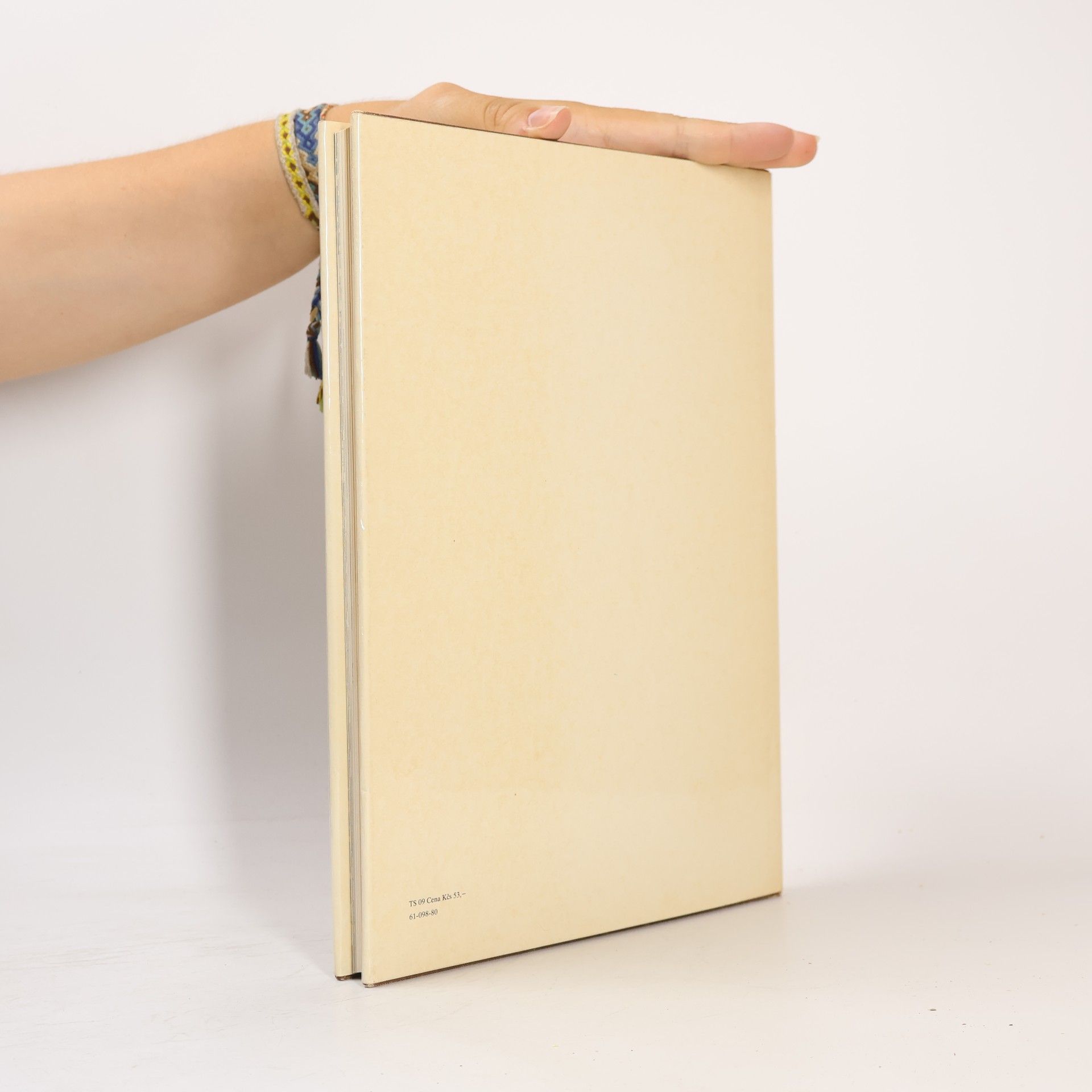 Ladislav Beisetzer Architektúra ako umenie a veda