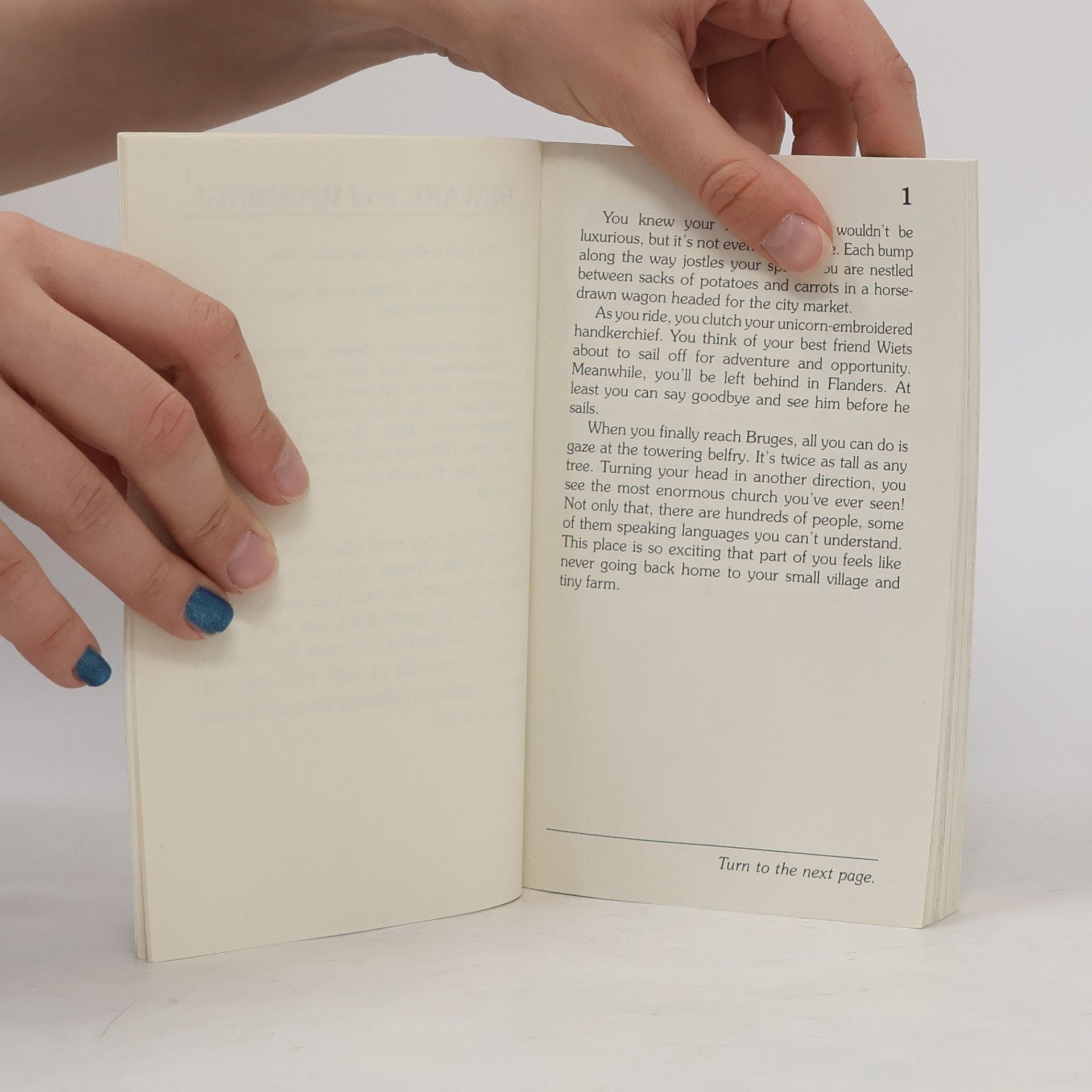Deborah Lerme Goodman Choose Your Own Adventure - 49: The Rescue of the Unicorn