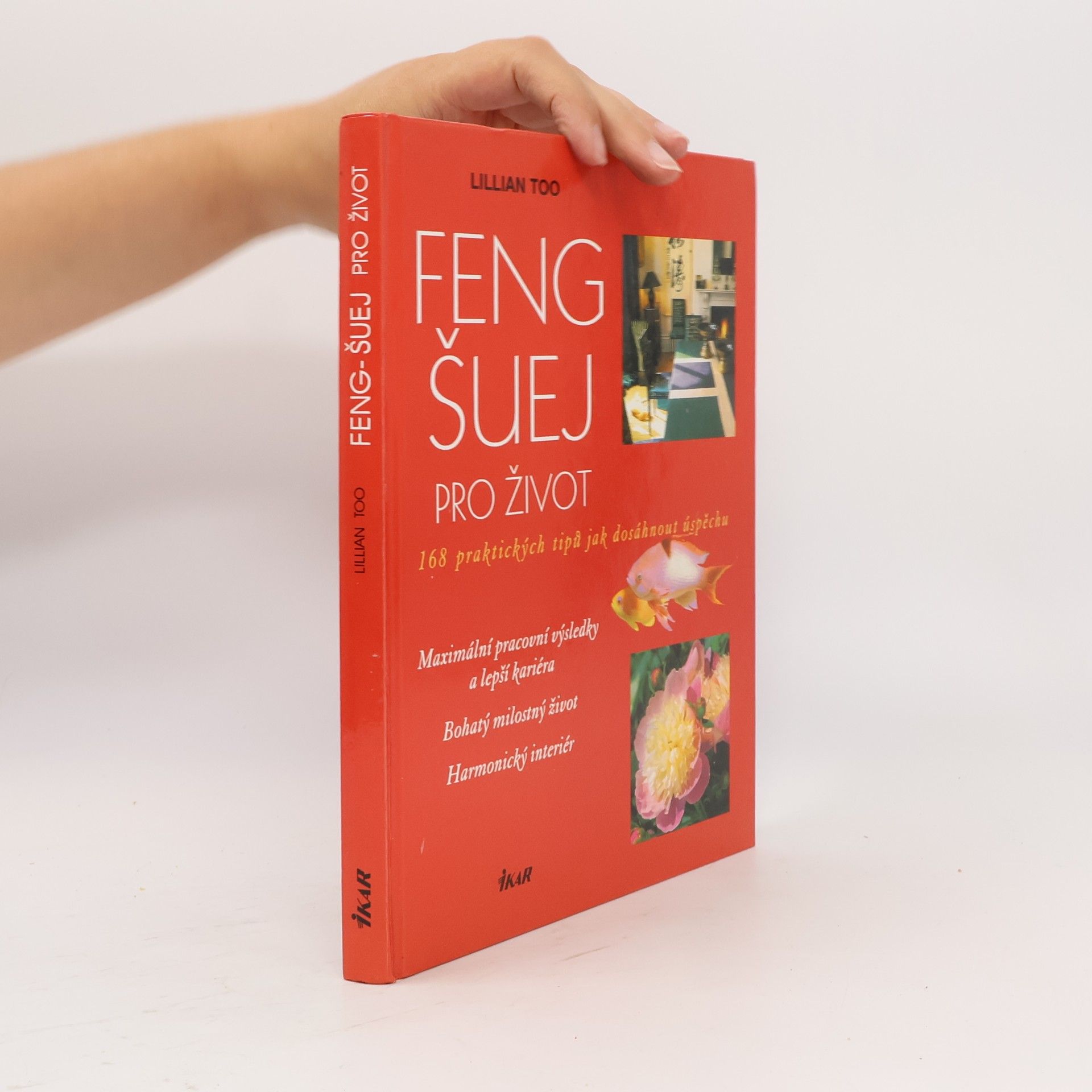 Lillian Too Feng-šuej pro život. 168 praktických tipů jak dosáhnout úspěchu