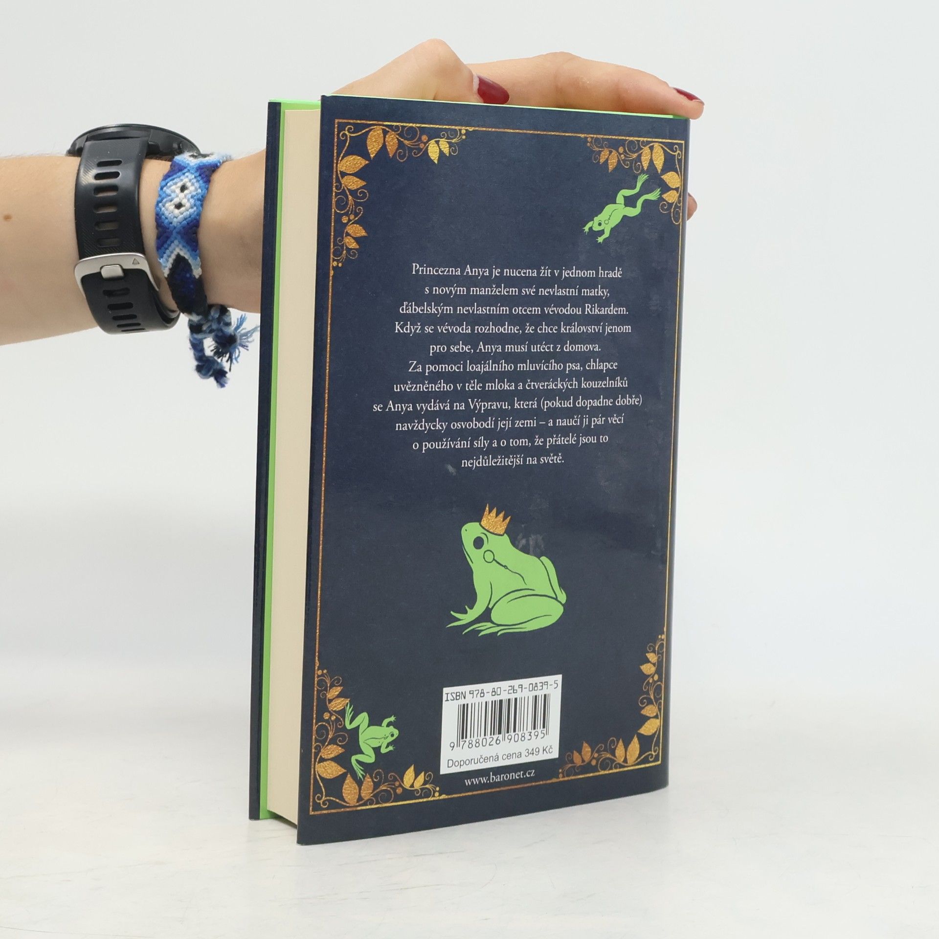 Garth Nix Žabí polibek