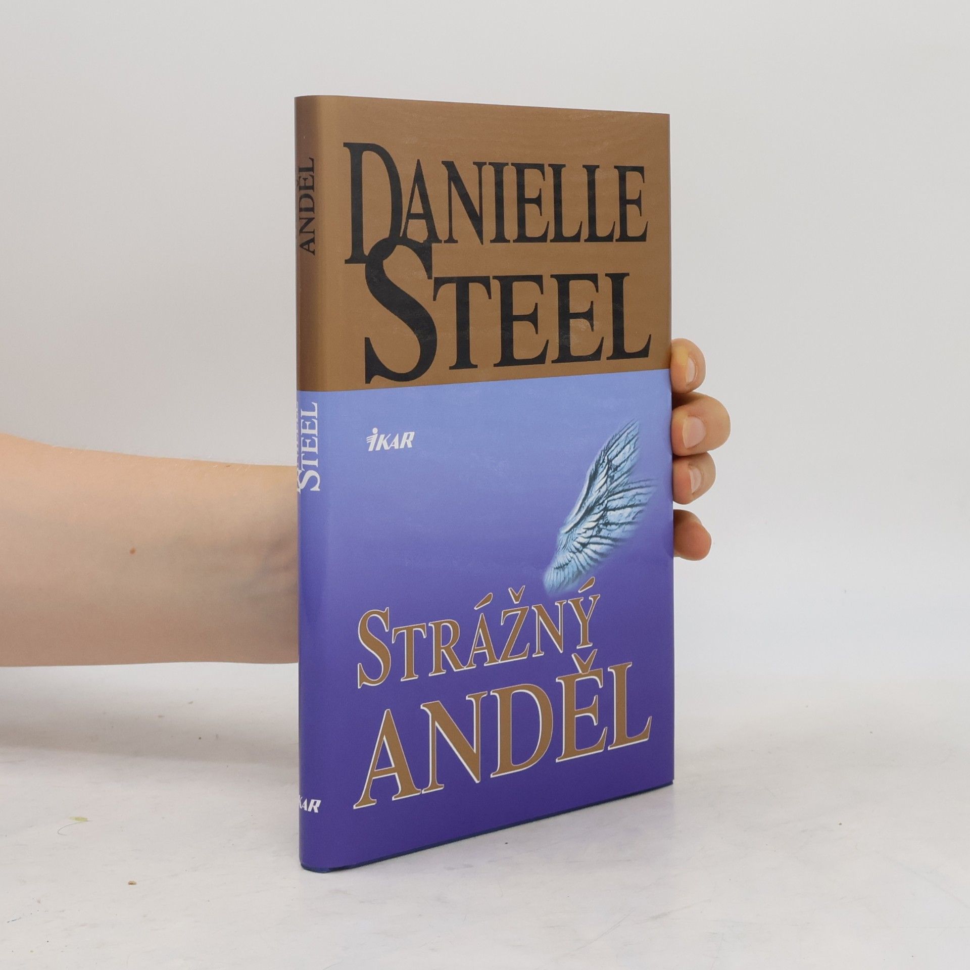 Danielle Steel Strážný anděl