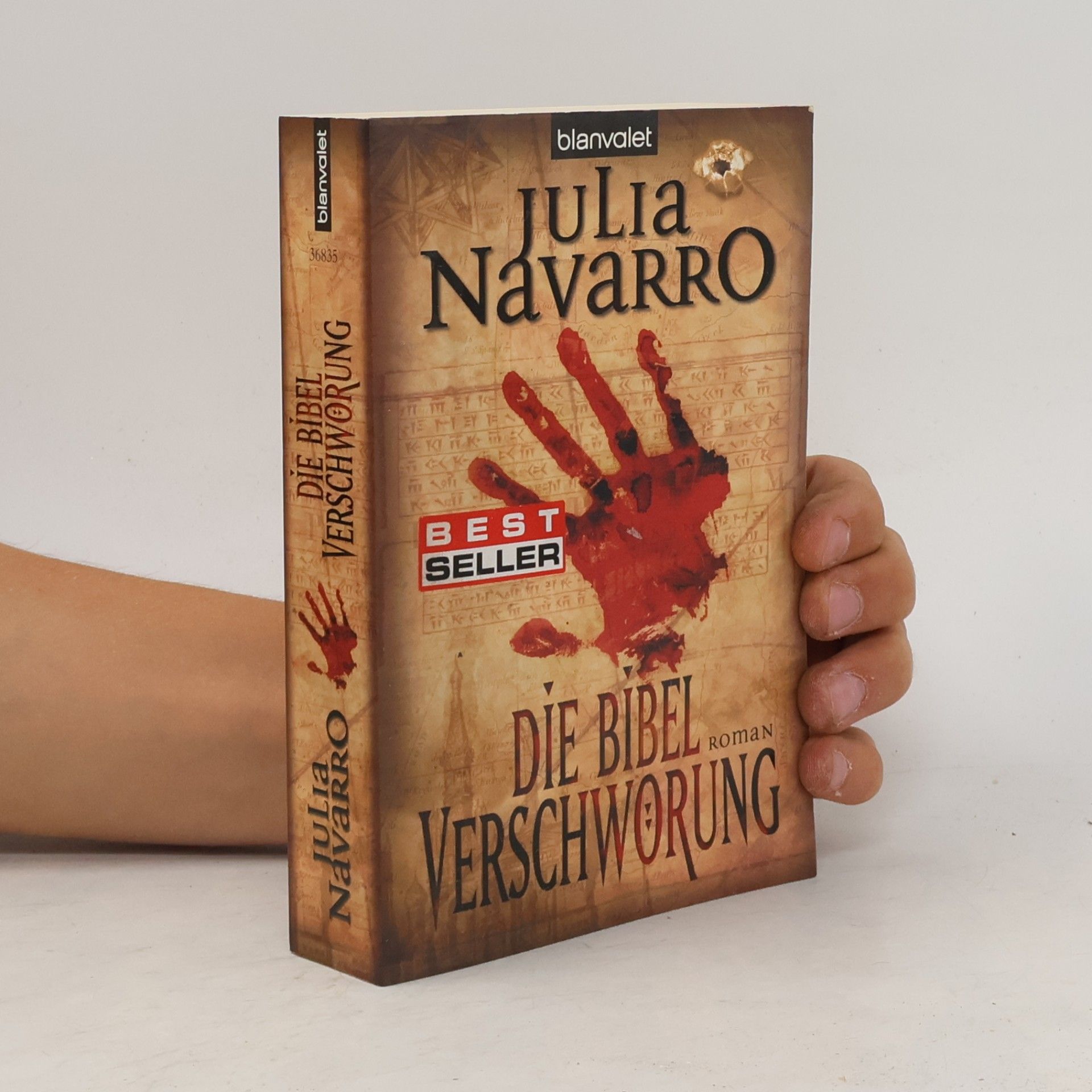 Julia Navarro Die Bibel-Verschwörung