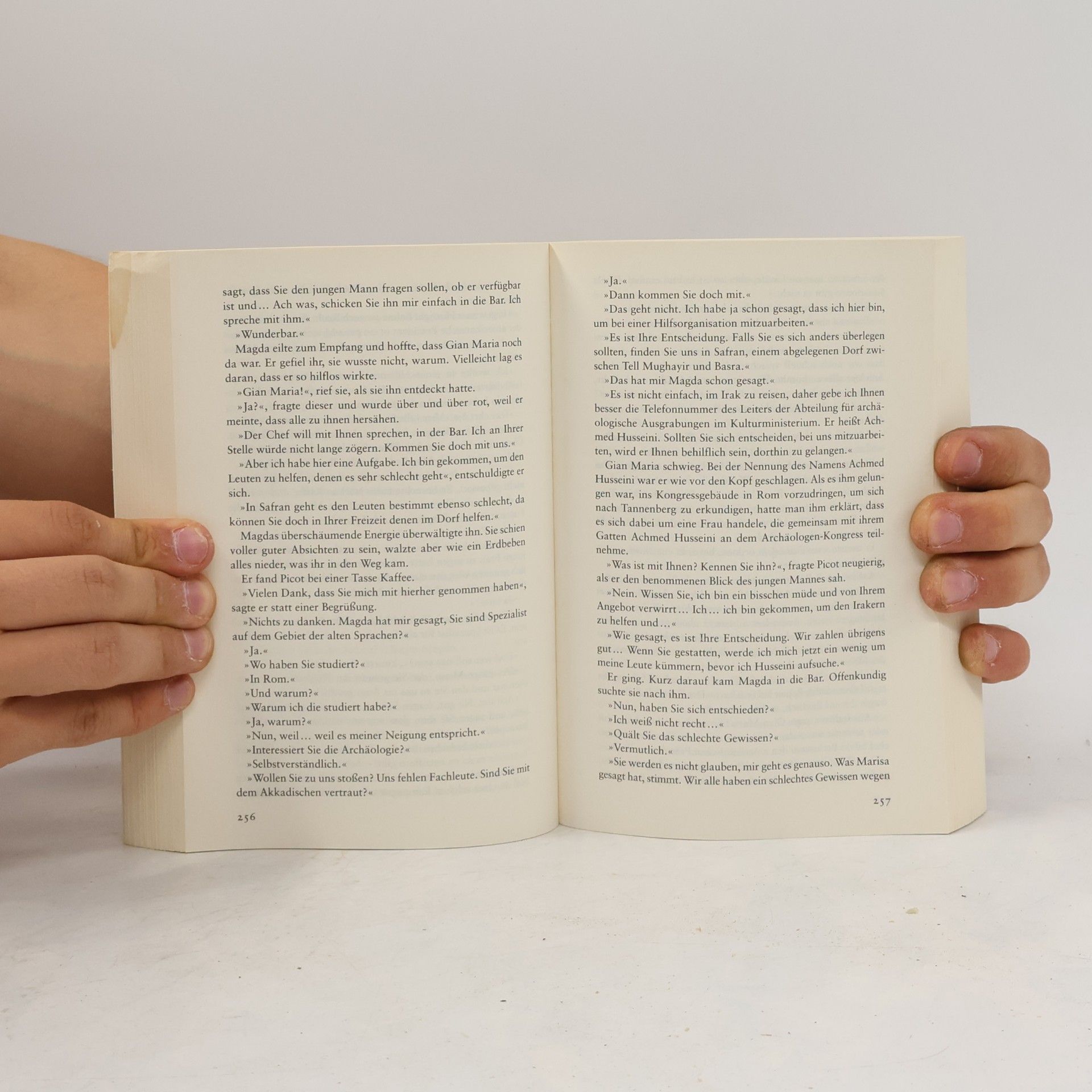 Julia Navarro Die Bibel-Verschwörung