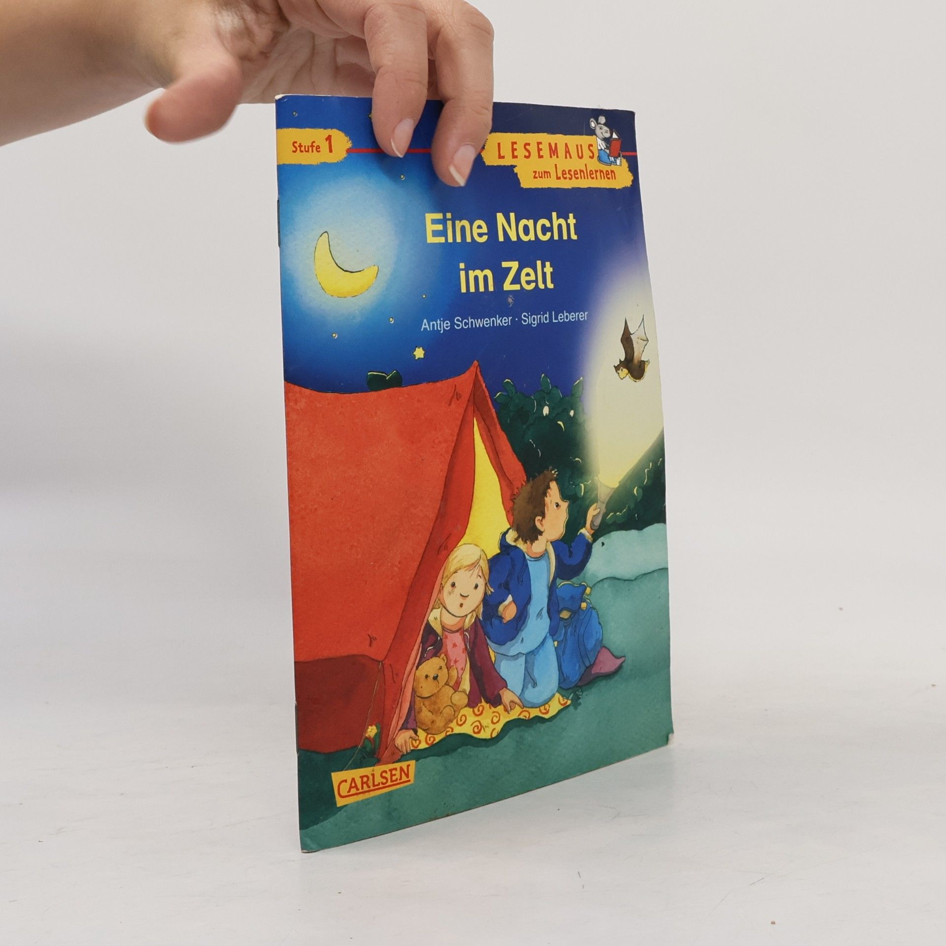 Lesemaus - 1: Eine Nacht im Zelt