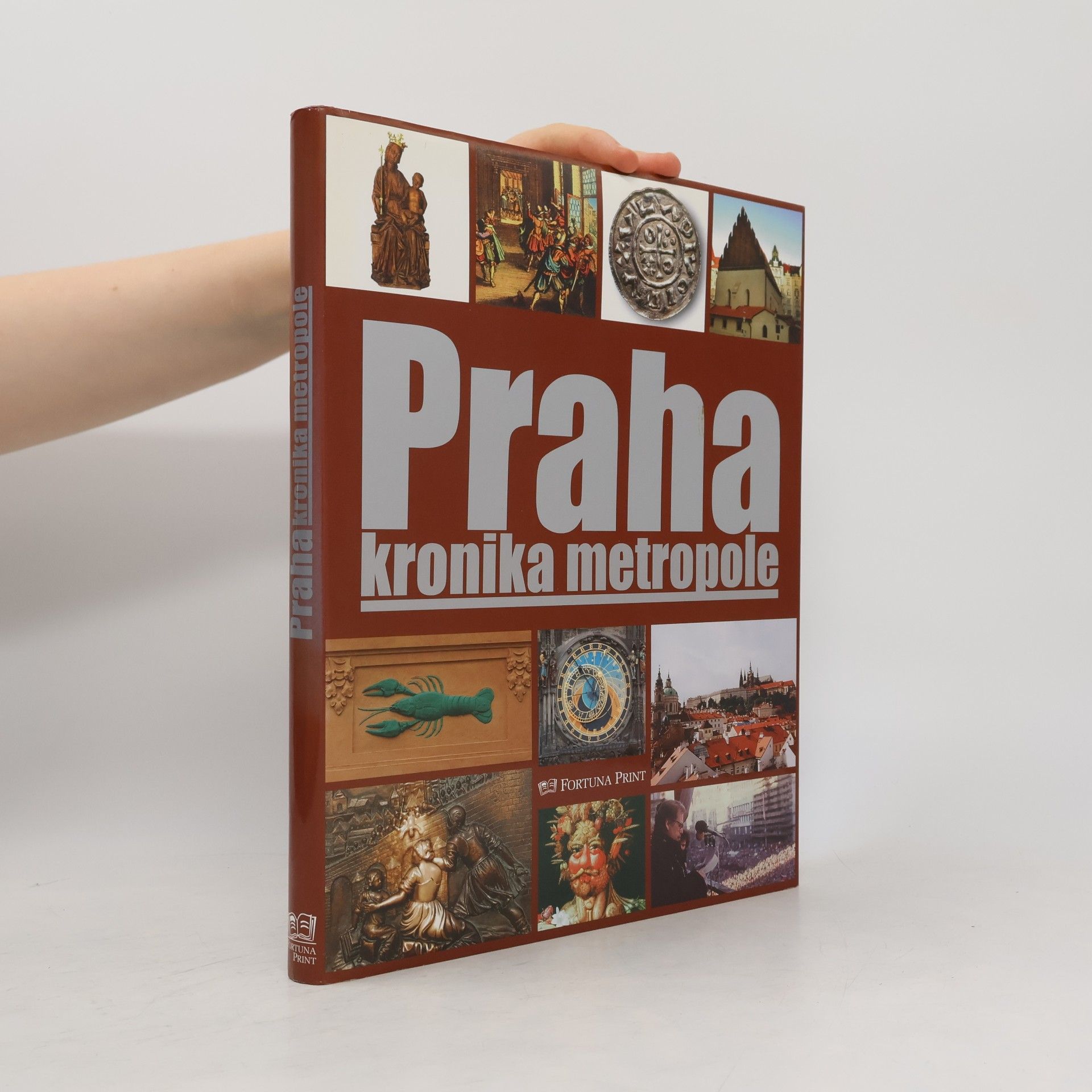 Pavel Bělina Praha : kronika metropole