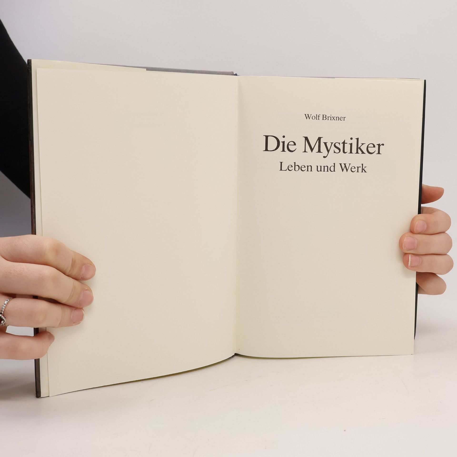 Wolf Brixner Die Mystiker