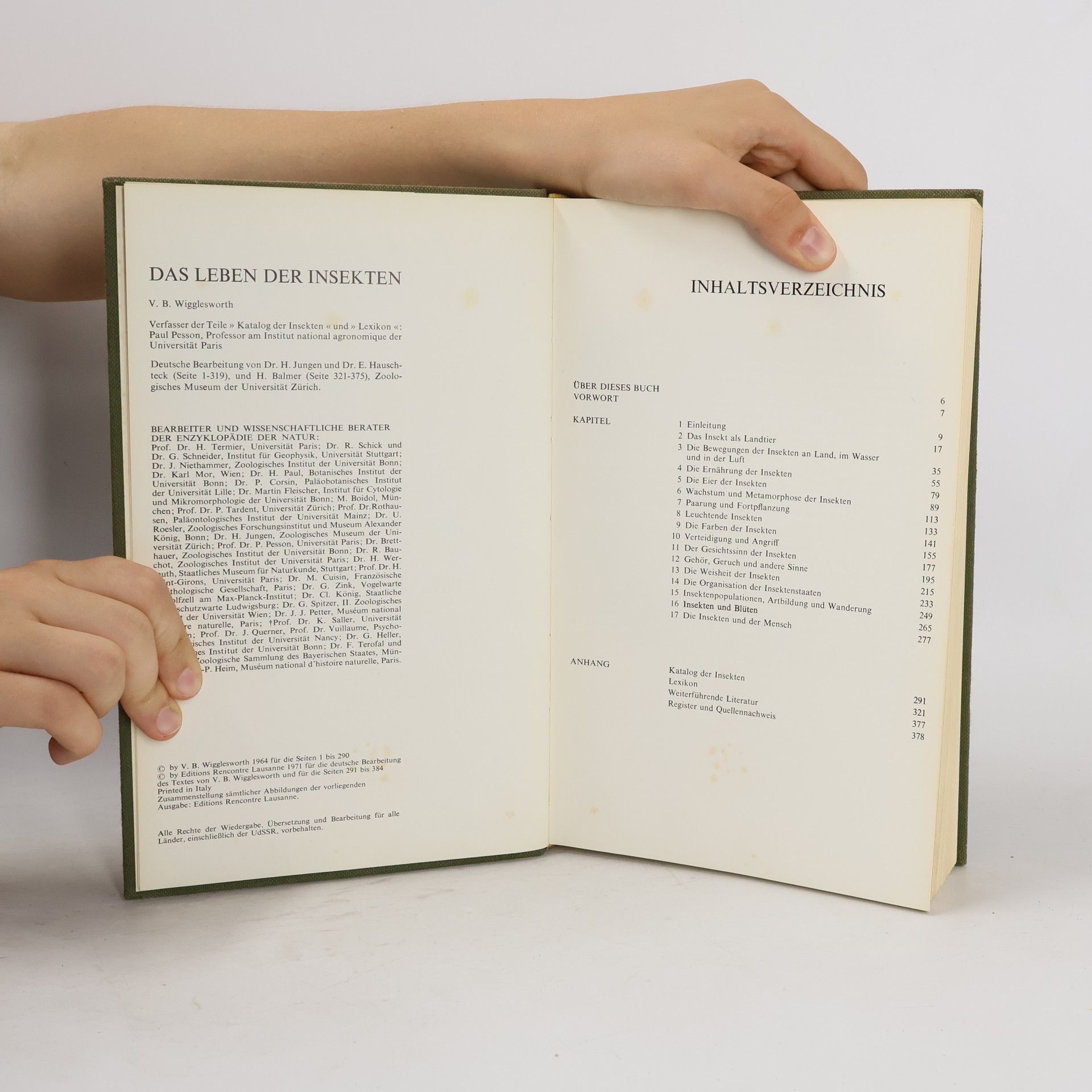 Autorenkollektiv Das Leben der Insekten