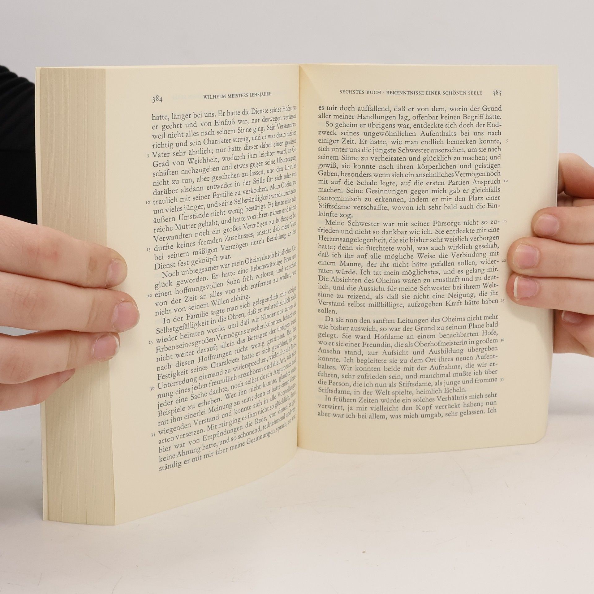 Johann Wolfgang von Goethe Werke. Band 7. Romane und Novellen II