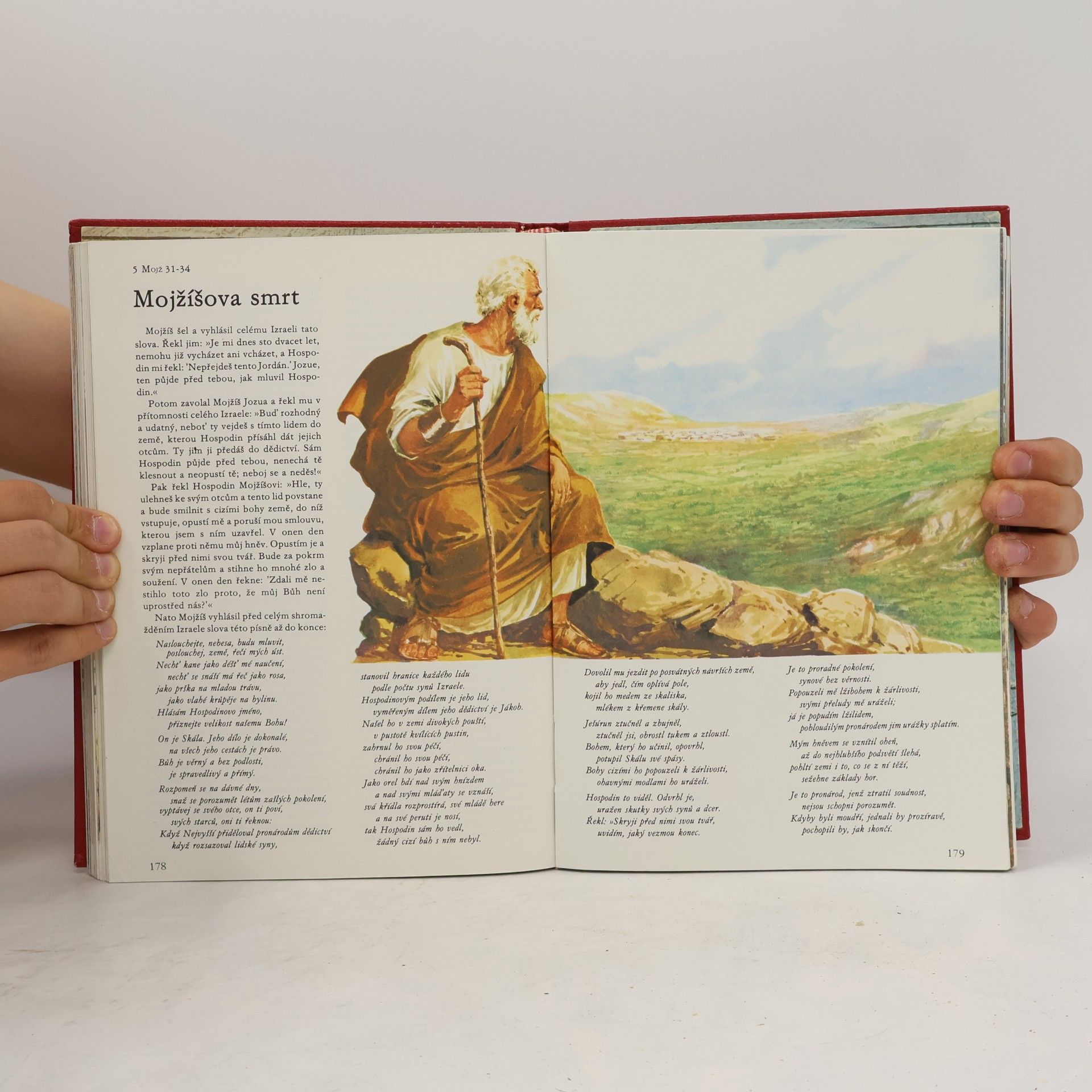 Various authors Ilustrovaná Bible pro mládež