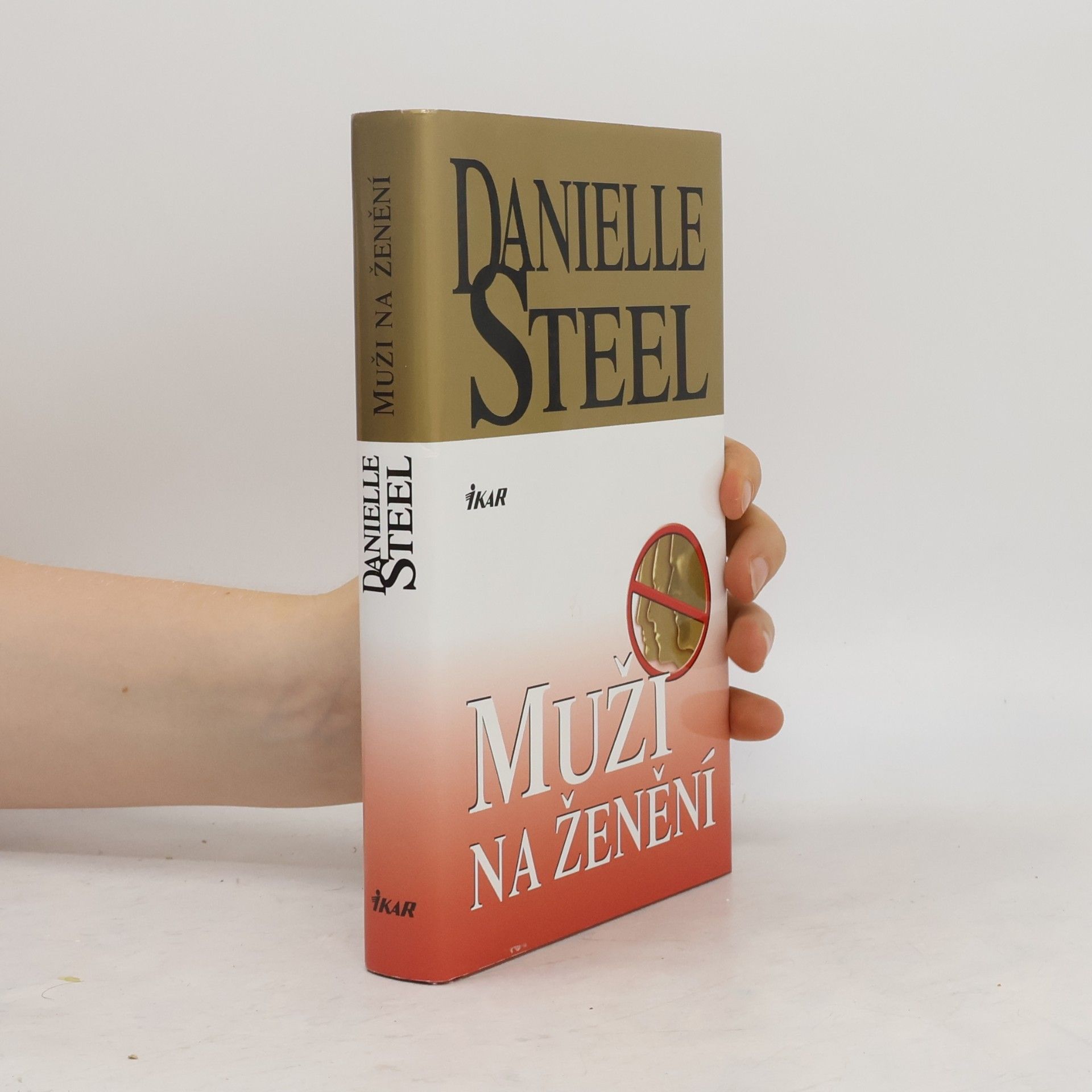 Danielle Steel Muži na ženění
