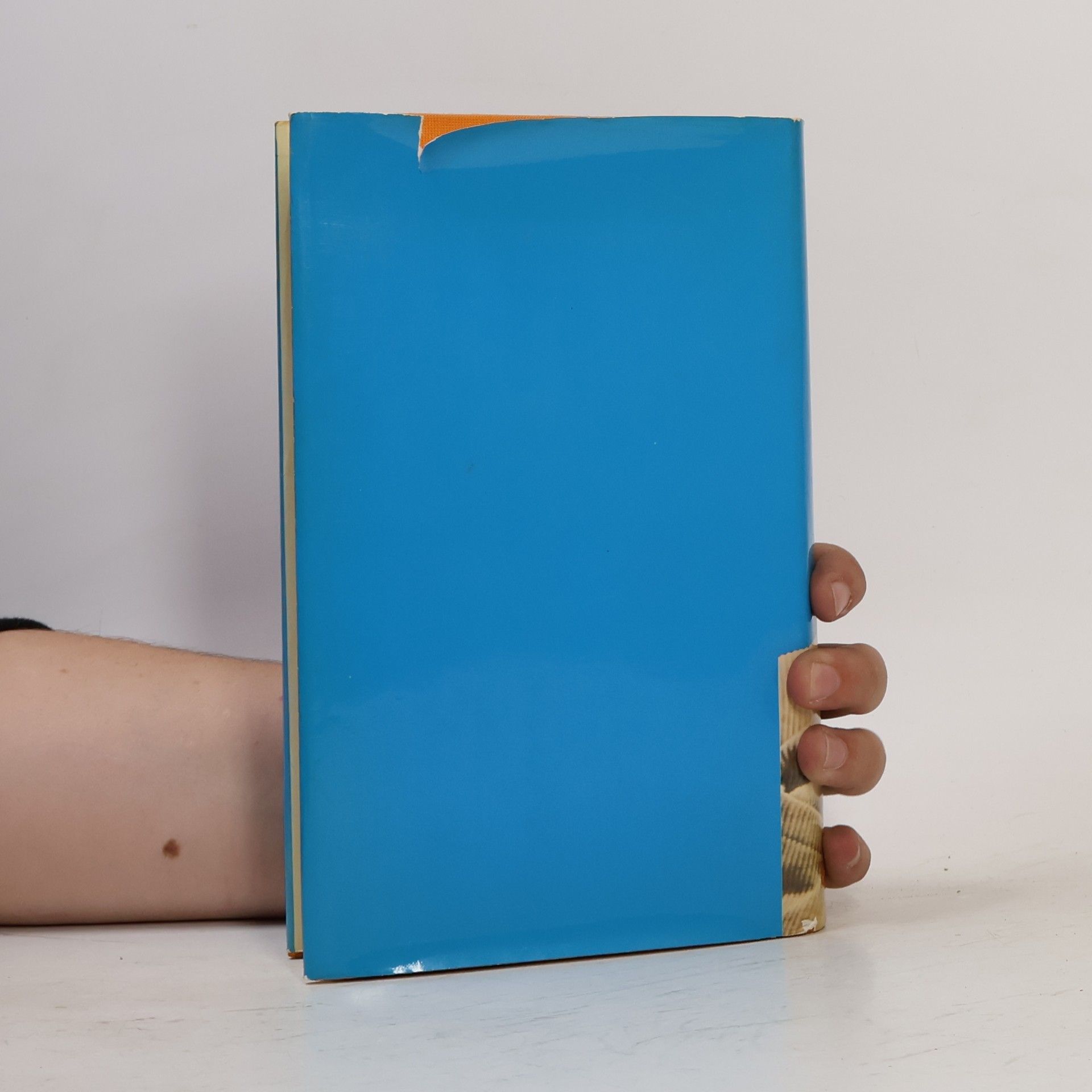 Louis Trenker Romane - Der Rebell. Heimat aus Gottes Hand