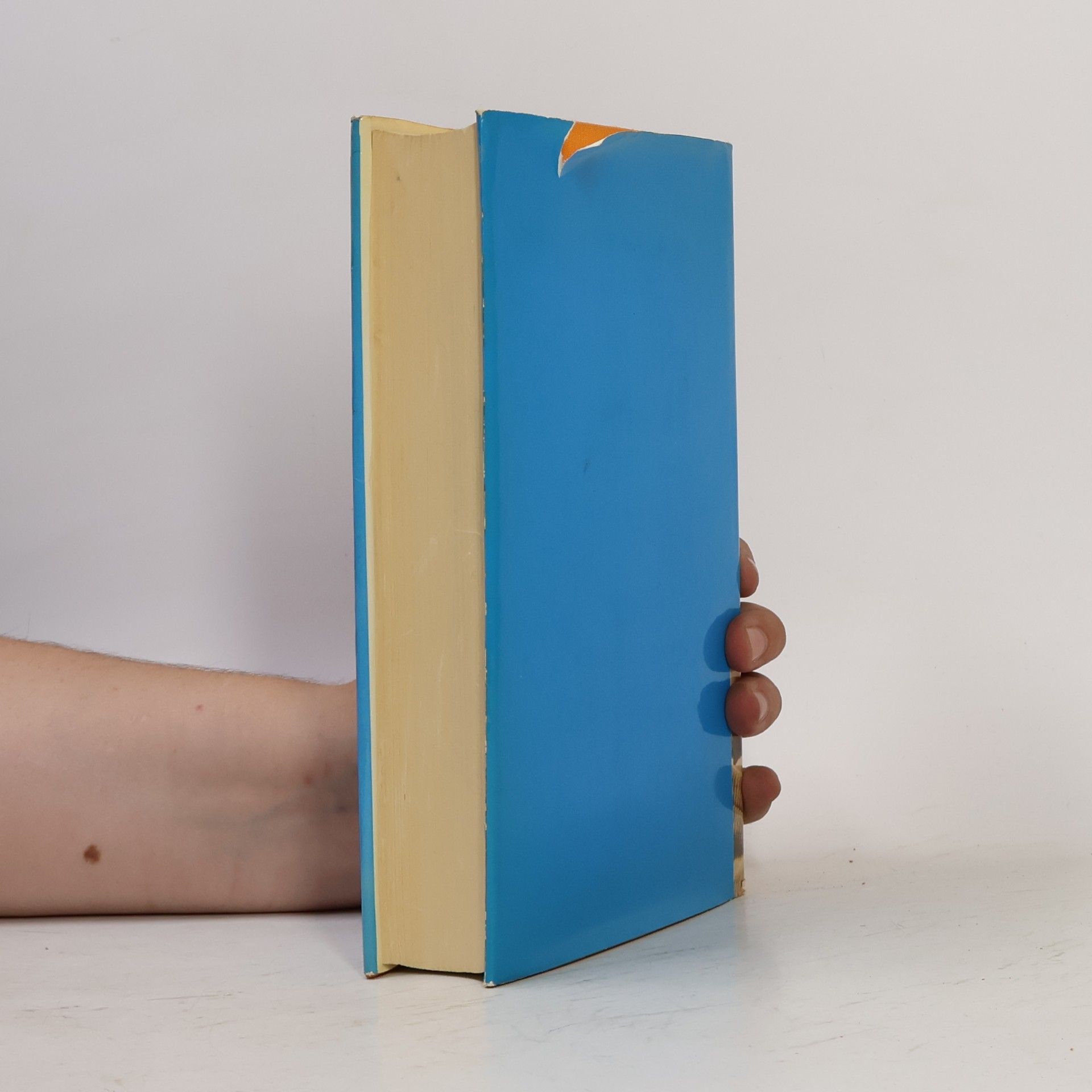 Louis Trenker Romane - Der Rebell. Heimat aus Gottes Hand