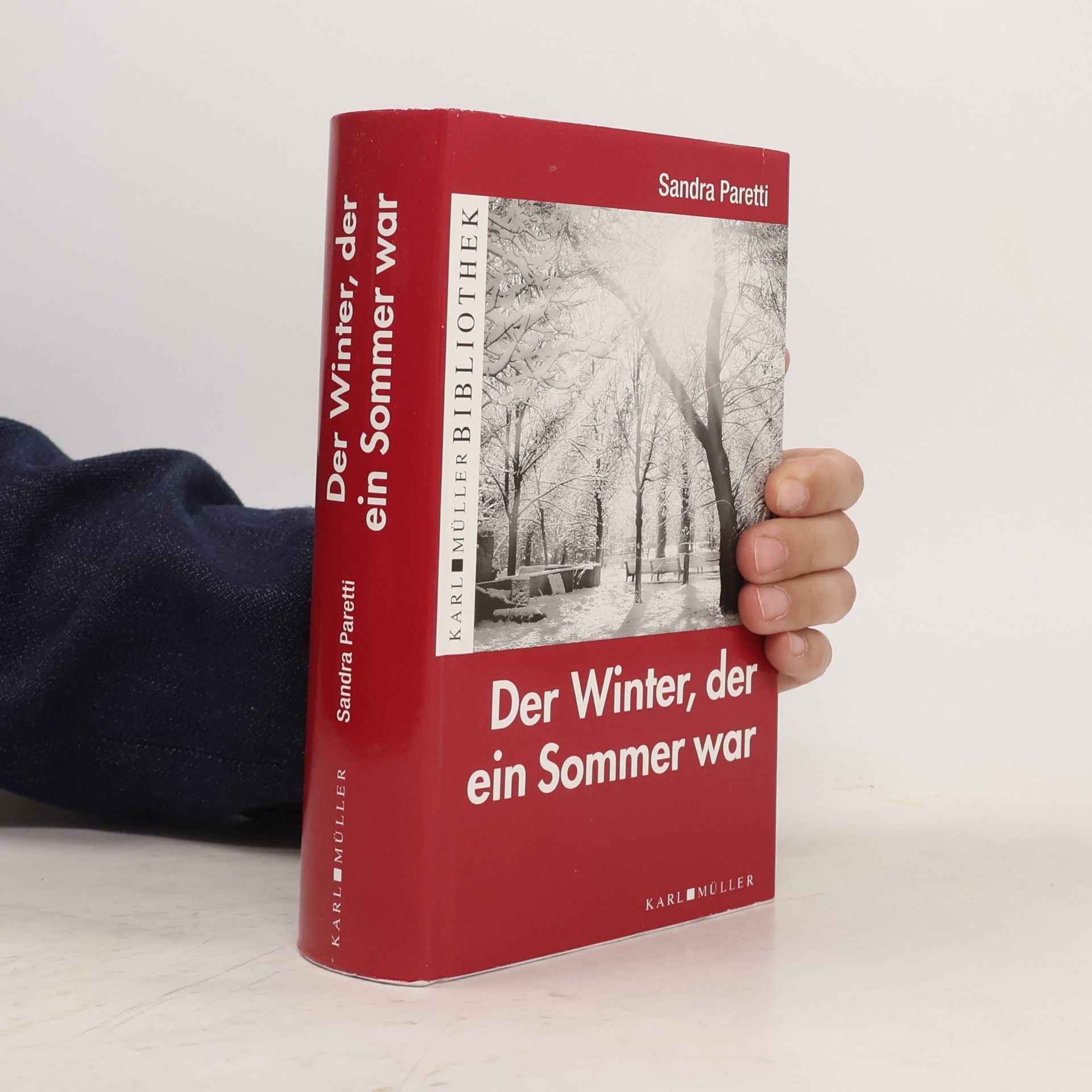 Sandra Paretti Der Winter, der ein Sommer war