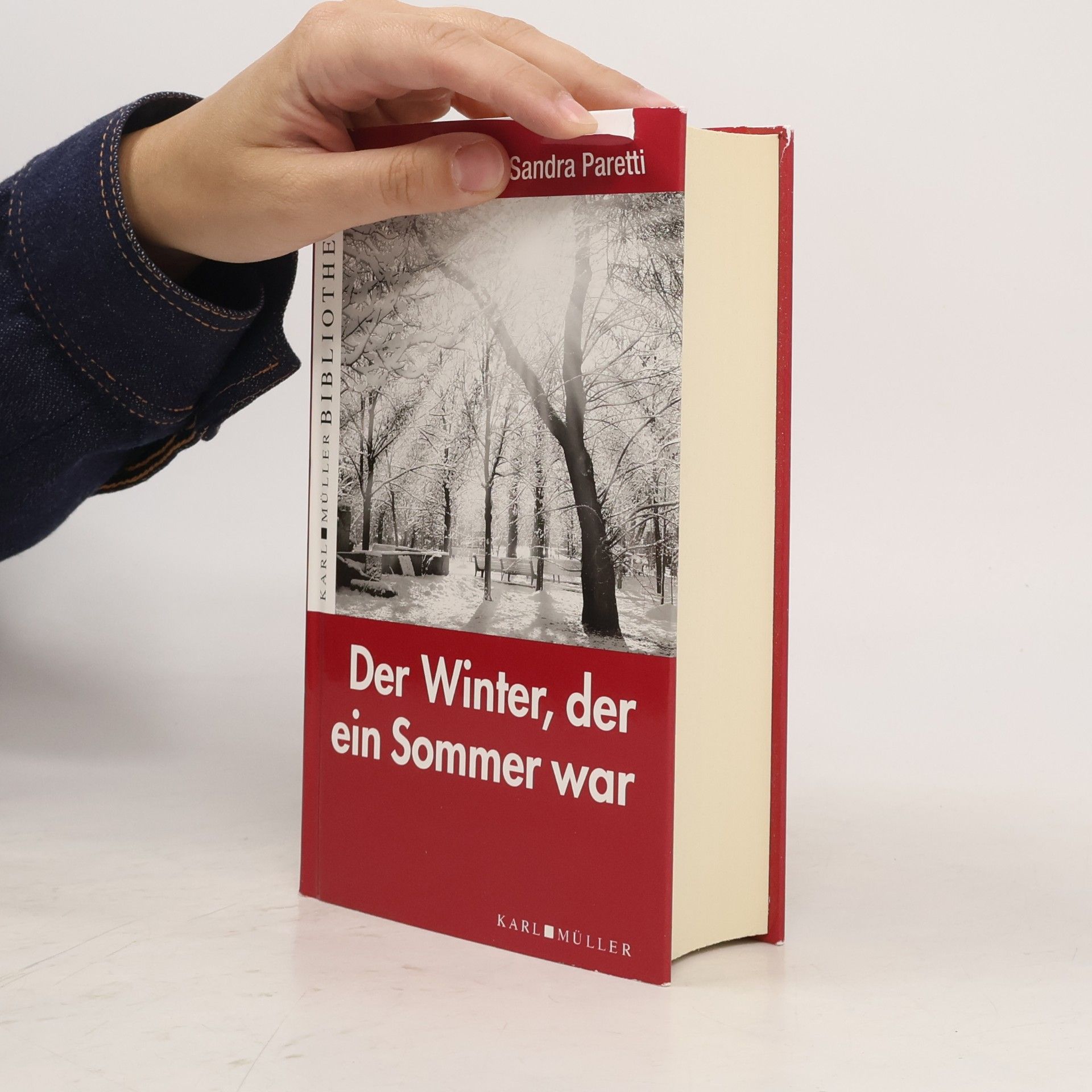 Sandra Paretti Der Winter, der ein Sommer war