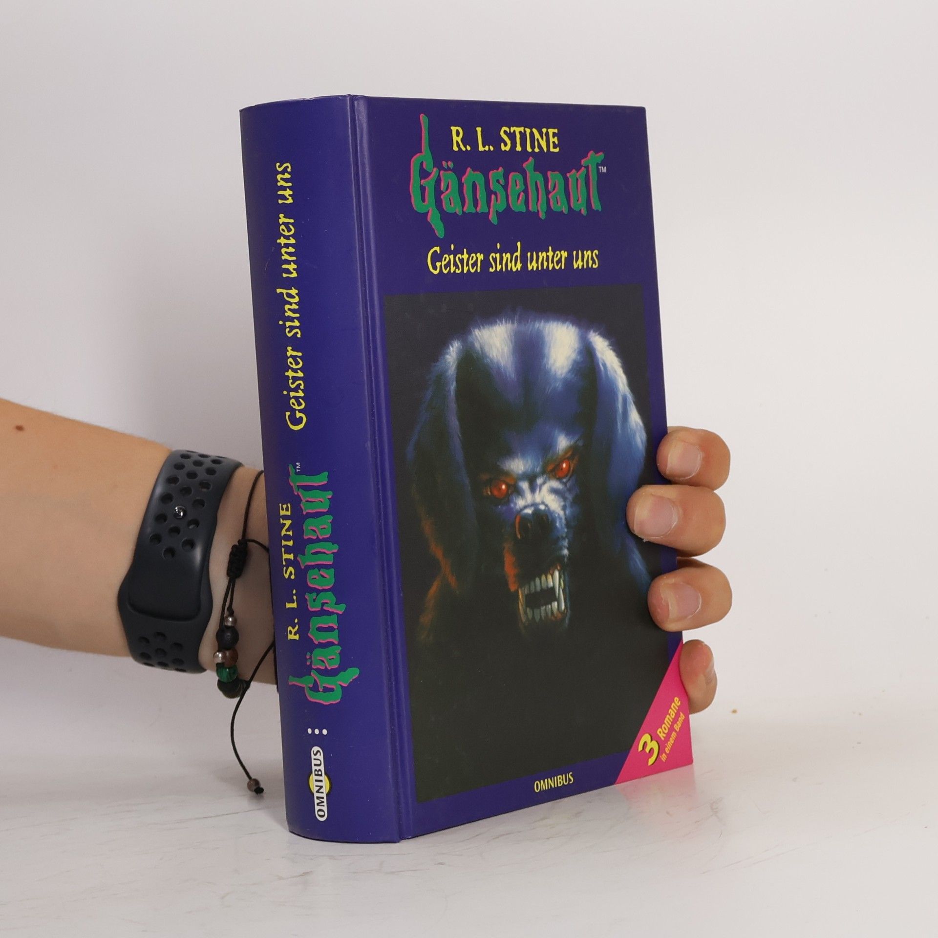 R. L. Stine Gänsehaut - Geister sind unter uns