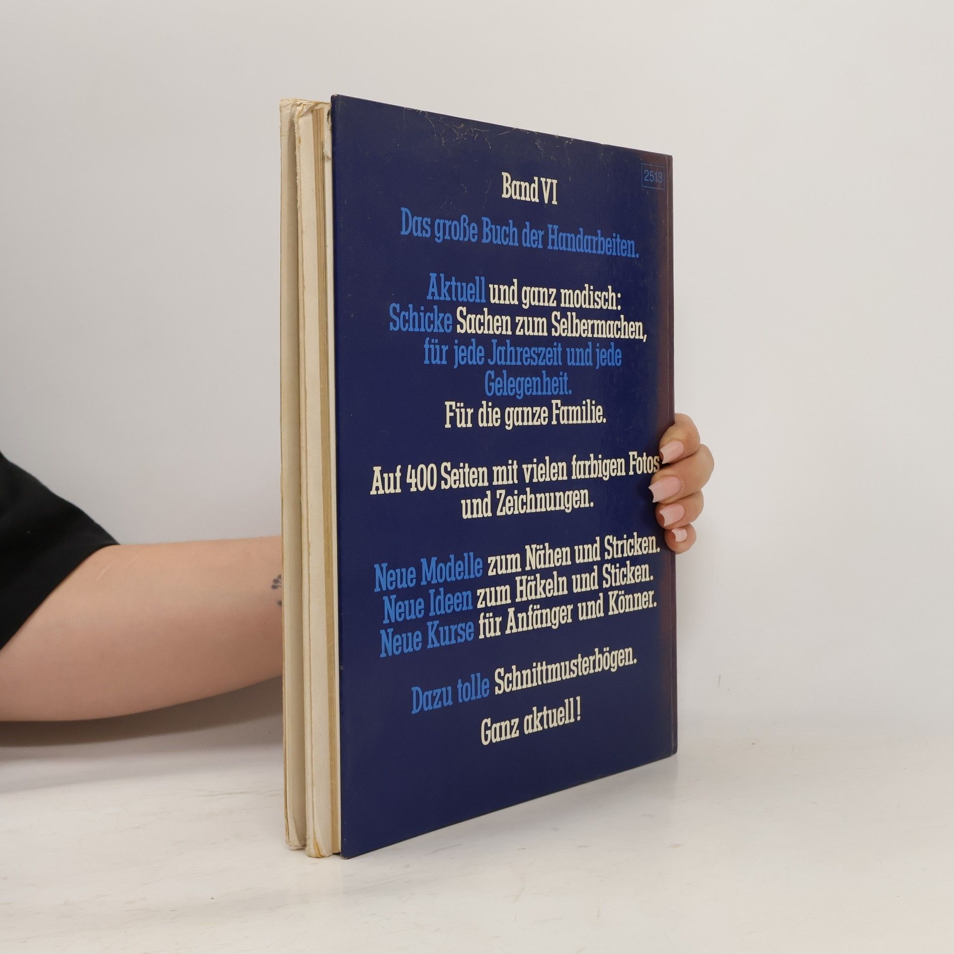 Kolektiv autorů Das Grosse buch der Handarbeiten VI.