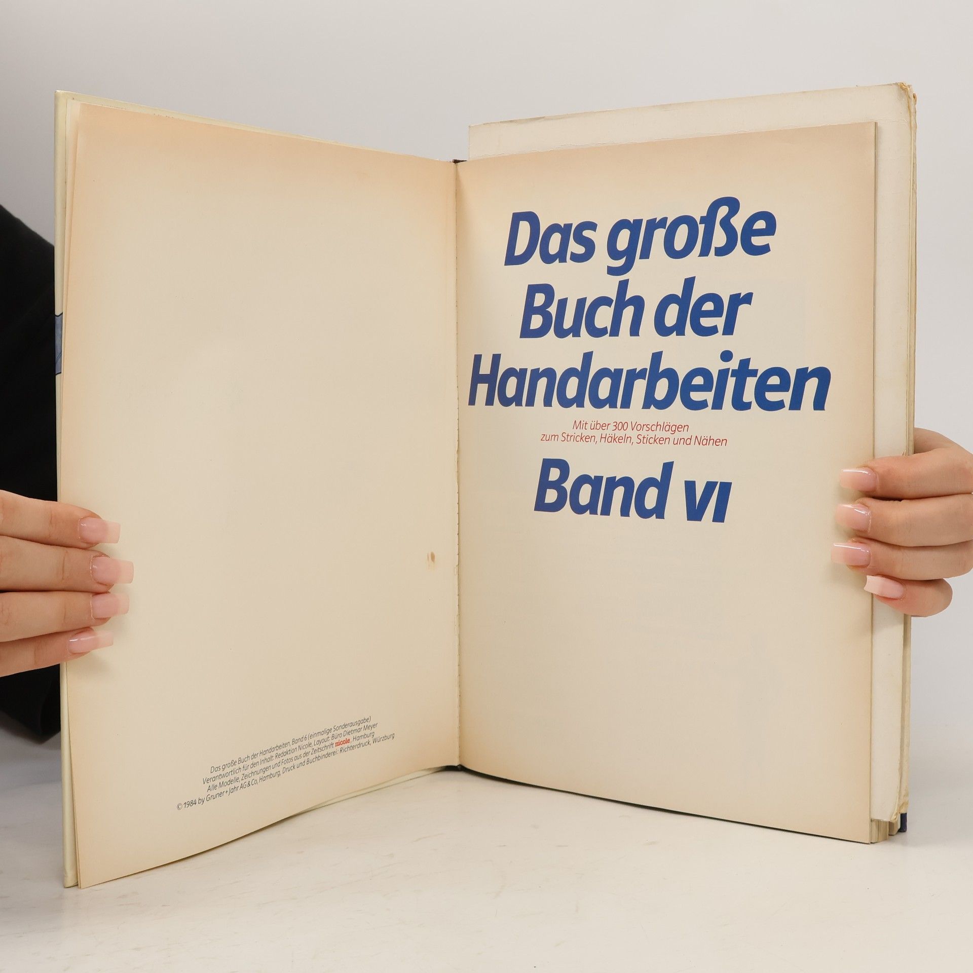 Kolektiv autorů Das Grosse buch der Handarbeiten VI.