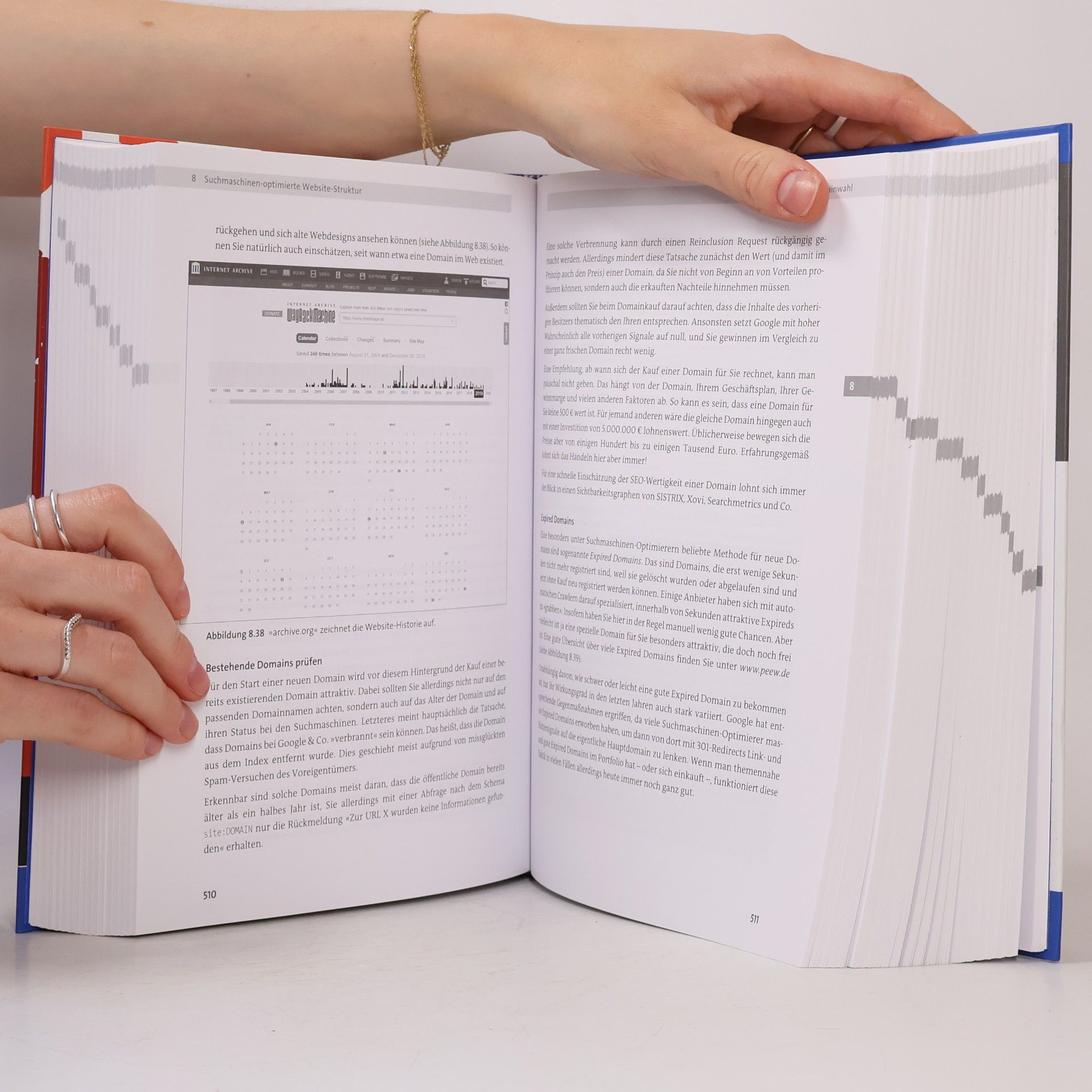 Sebastian Erlhofer Das SEO-Standardwerk: Suchmaschinen-Optimierung - Das umfassende Handbuch - 10., aktualisierte und erweiterte Auflage
